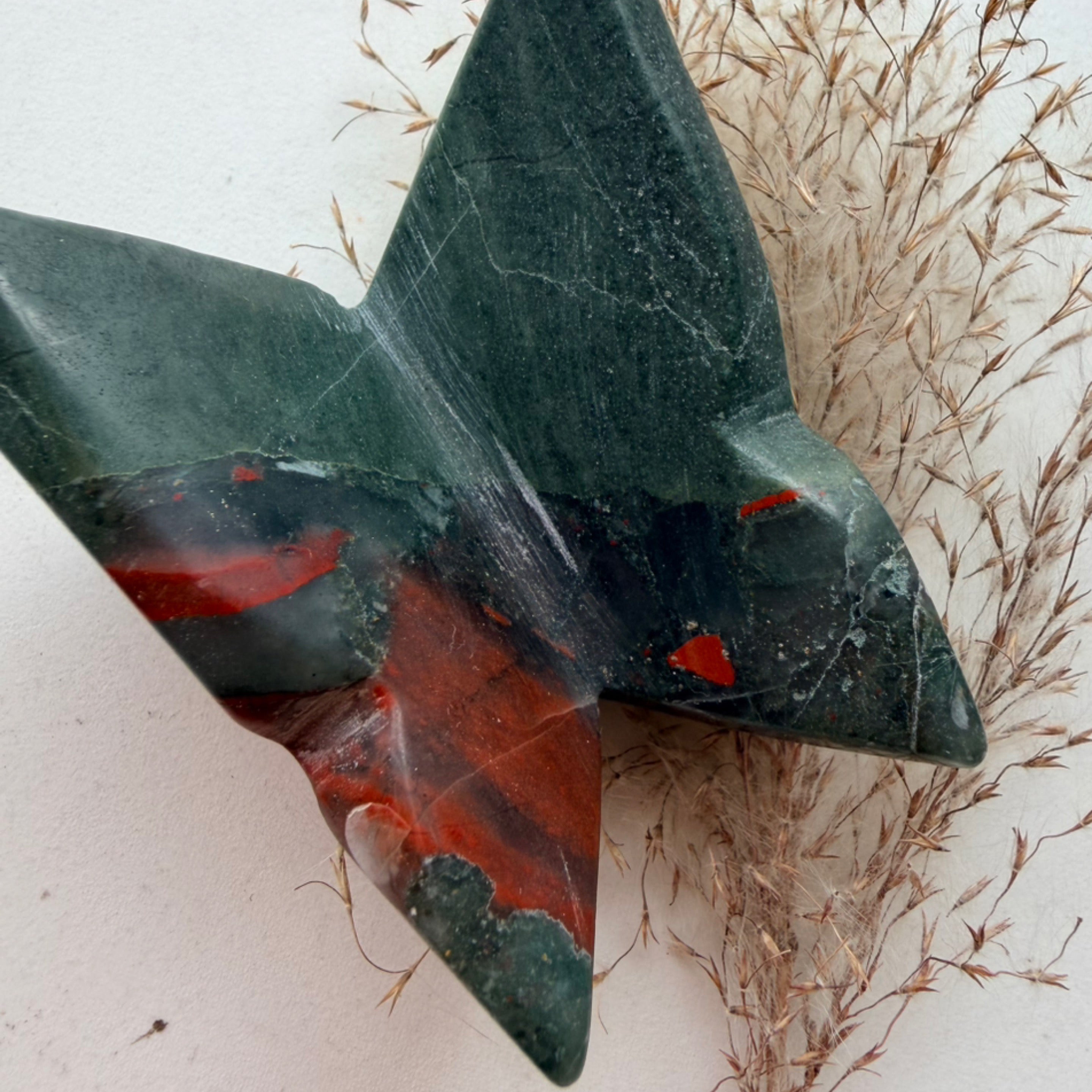 African bloodstone butterfly