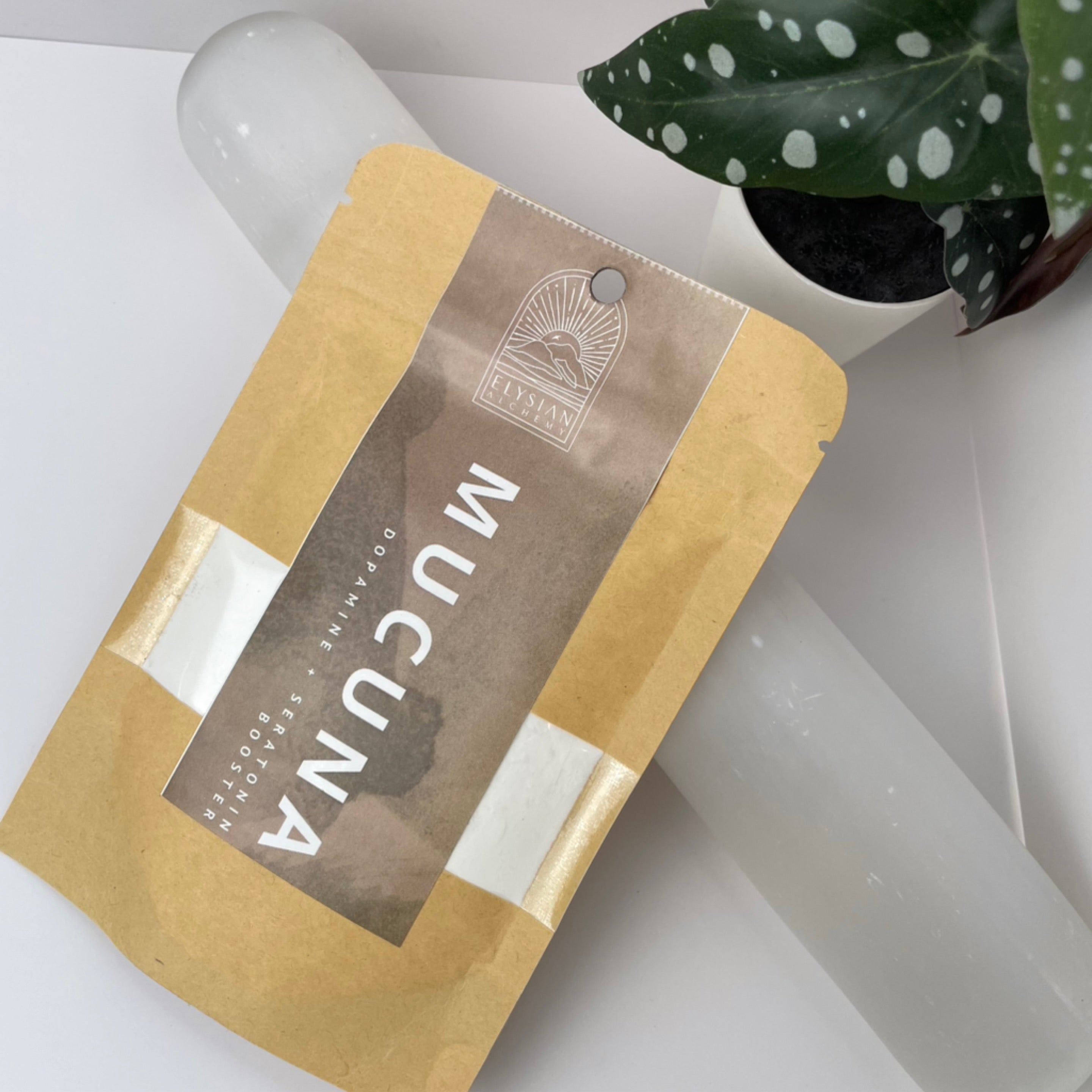 Elysian Mucuna Powder