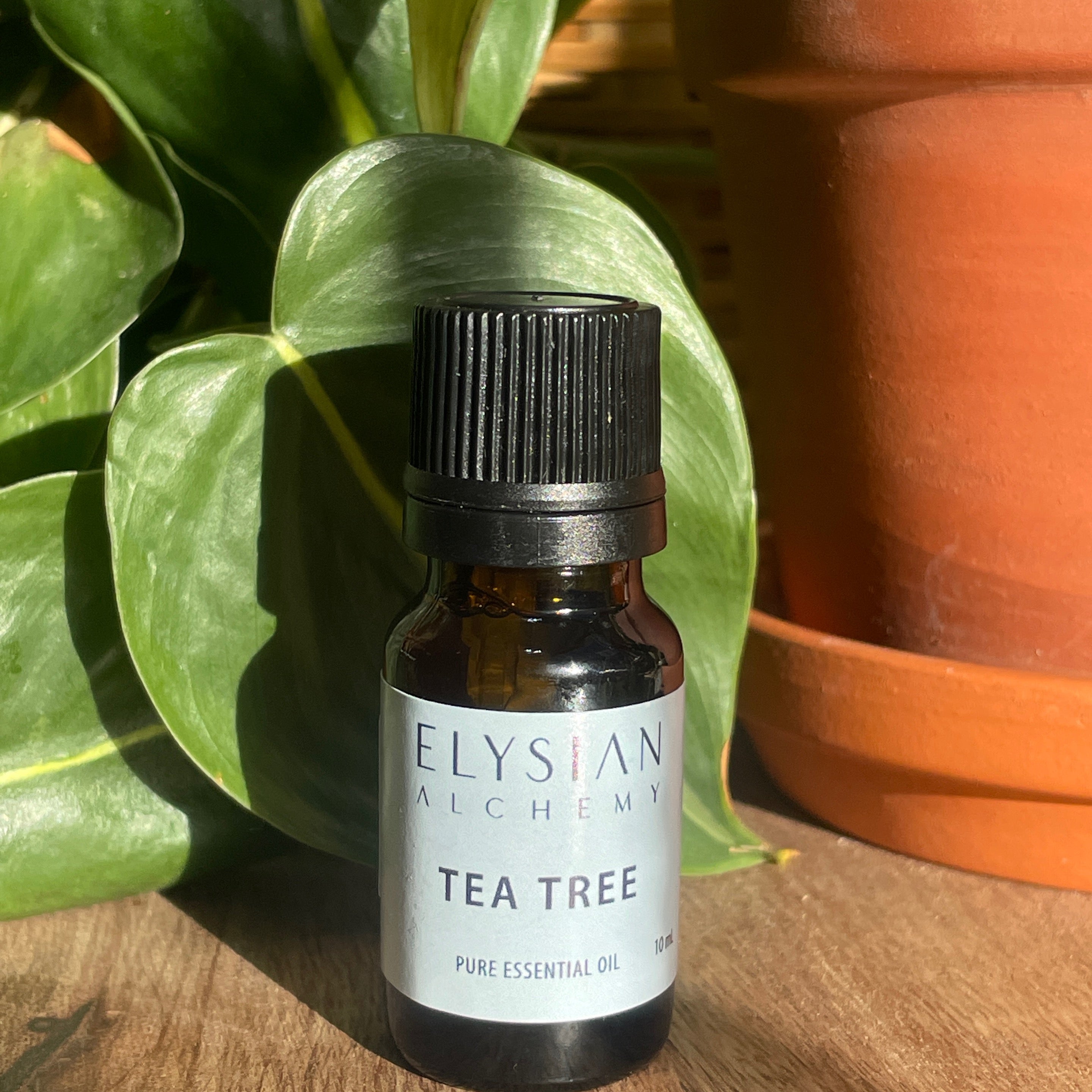Tea Tree Essential Oil
