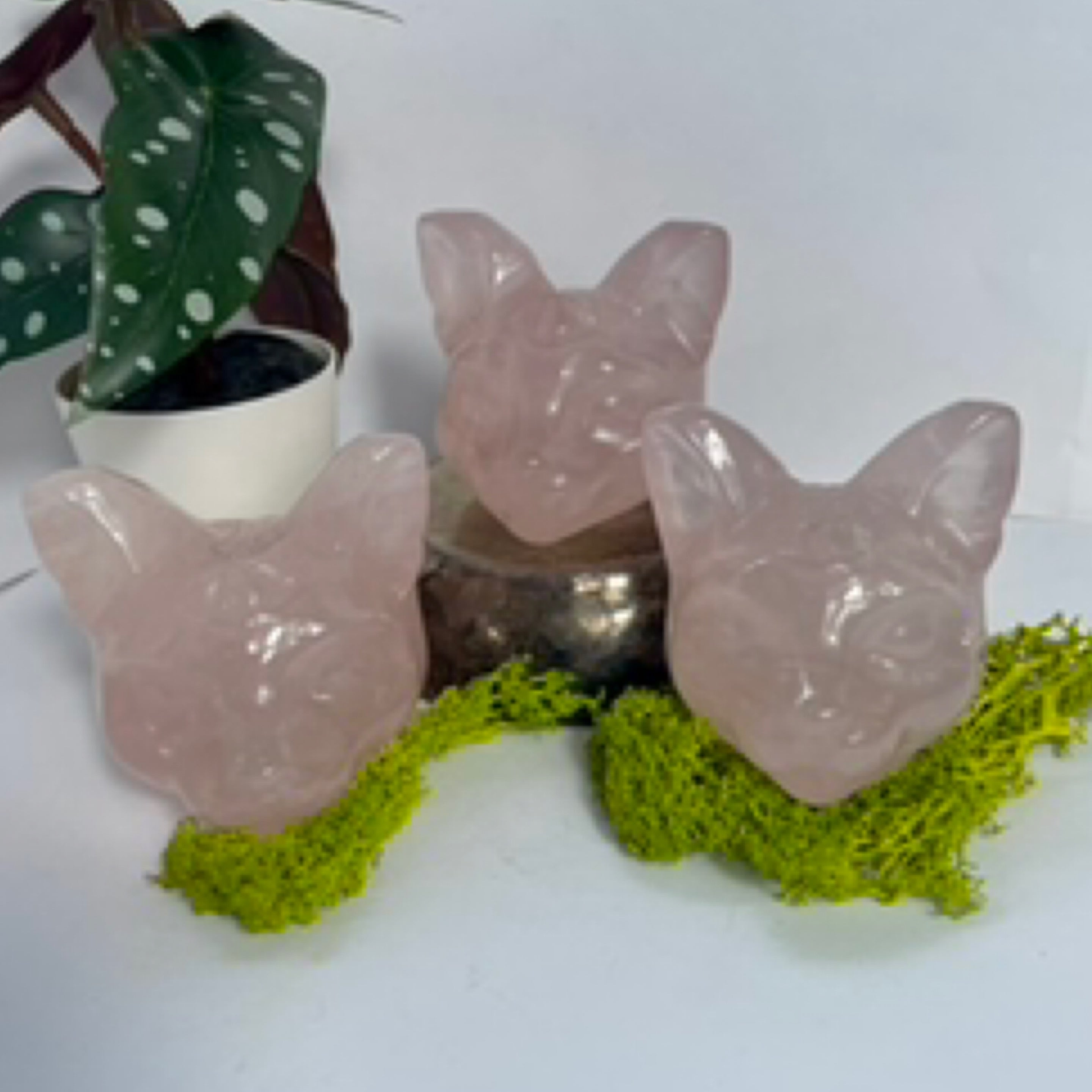 Rose Quartz Cat Head