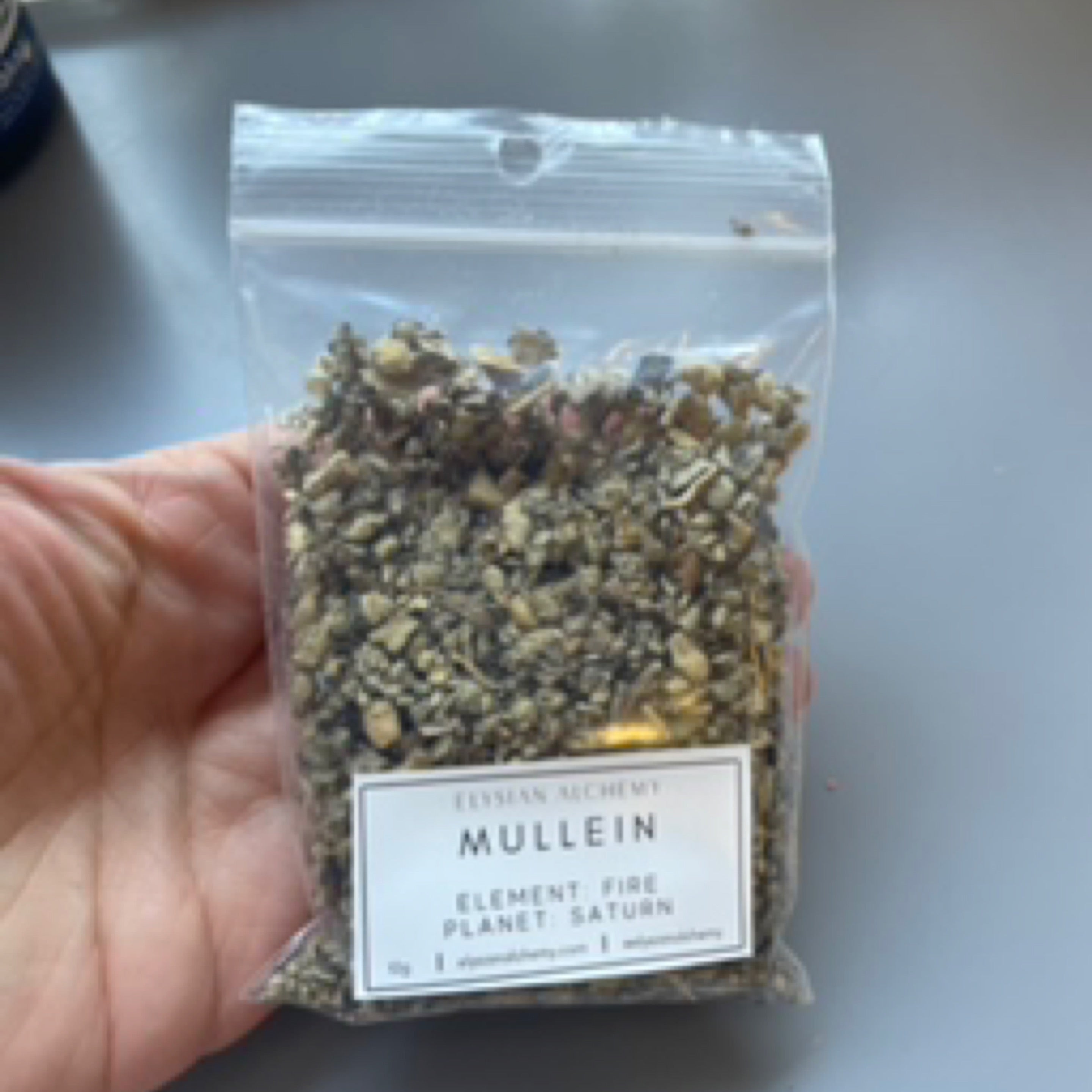 Herb - Mullein
