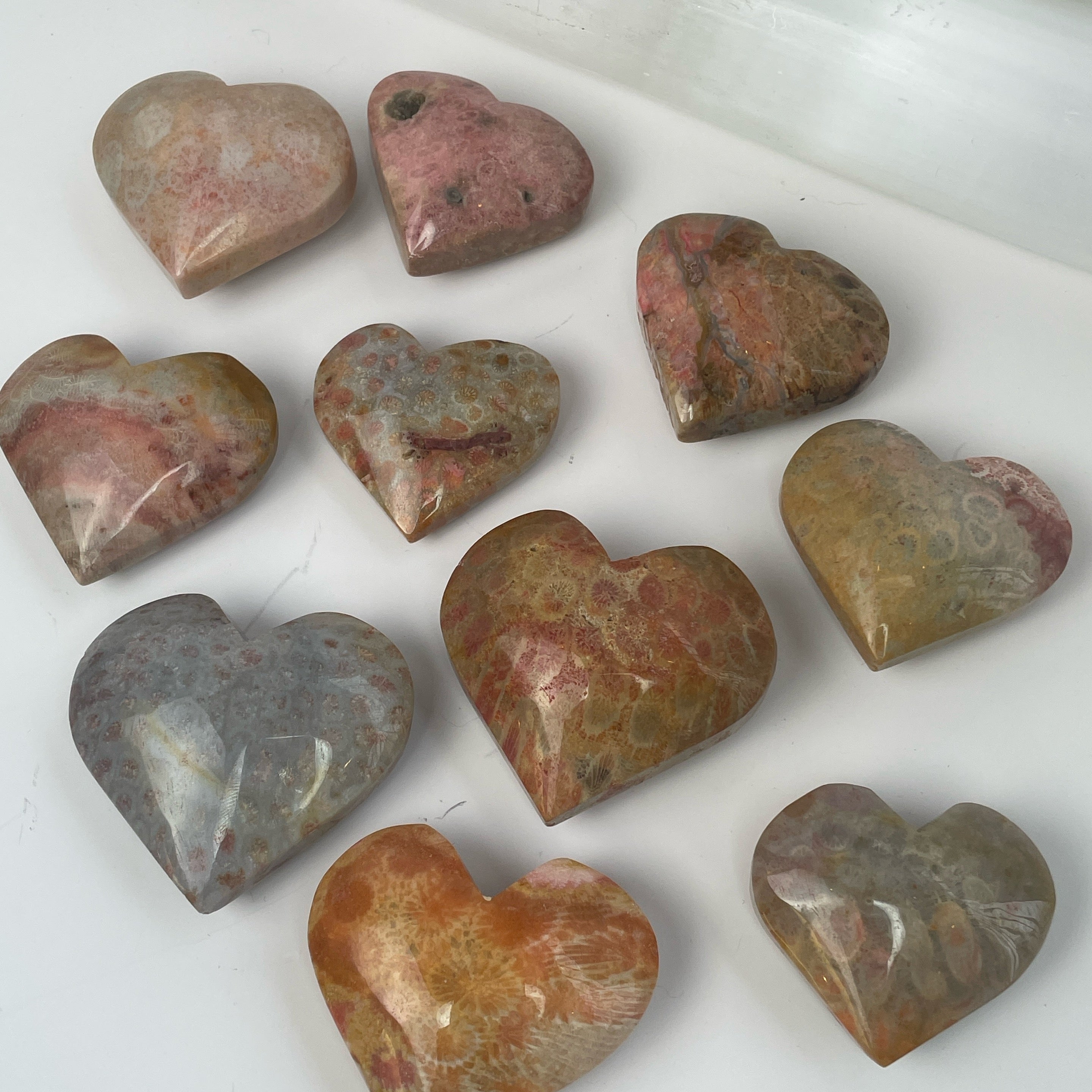 Fossil Coral Agate Heart