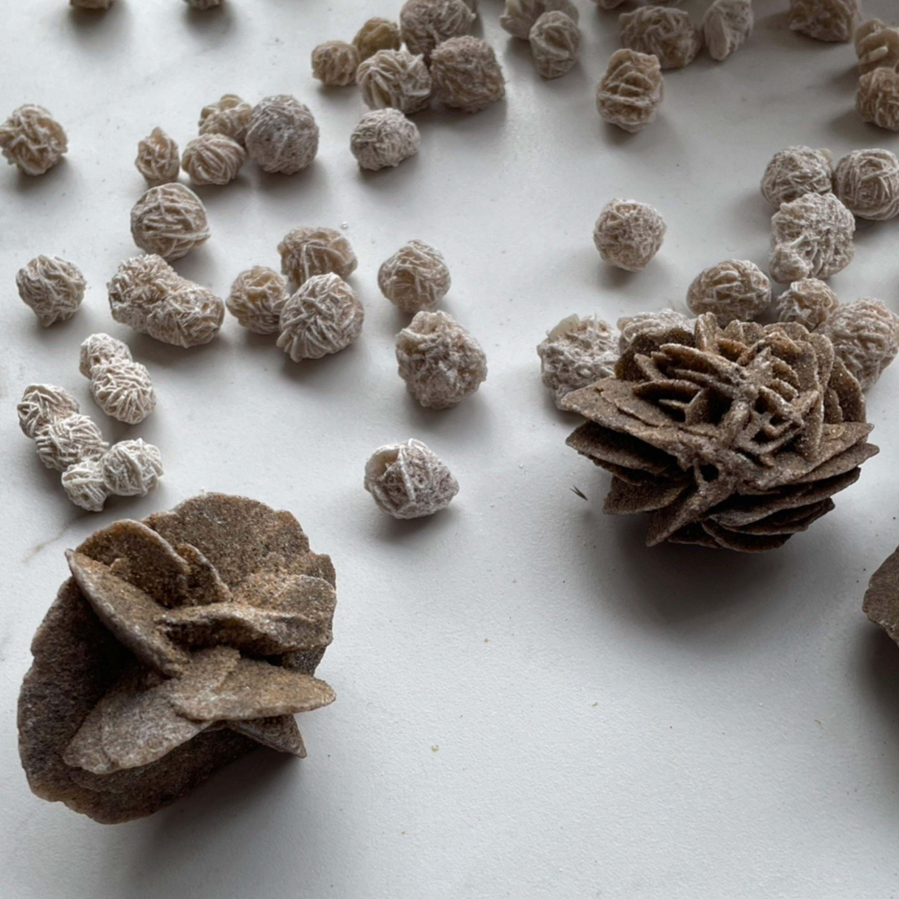 Desert Rose Selenite