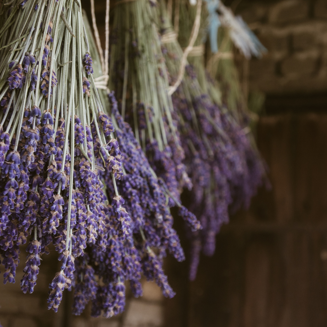 The Spiritual Significance of: Lavender