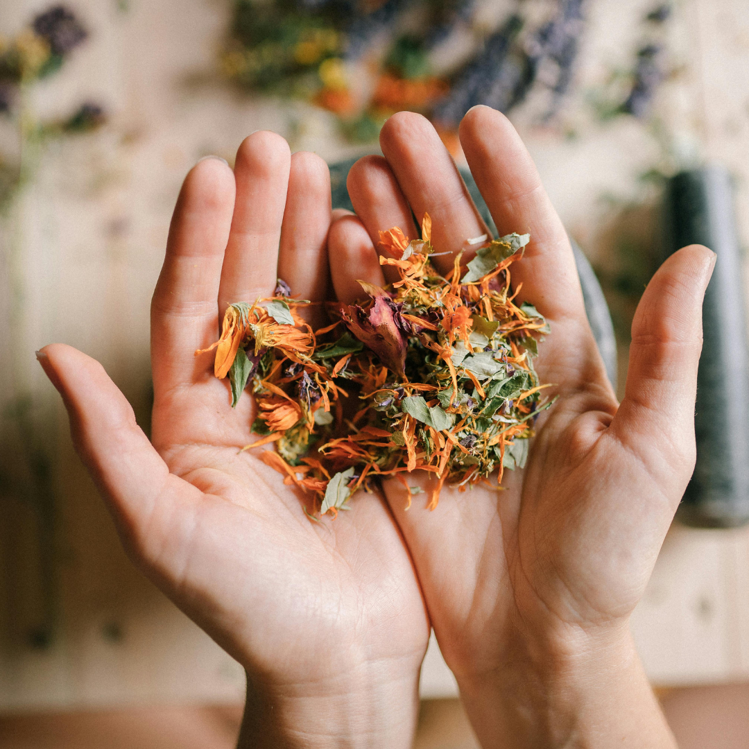 Herbs