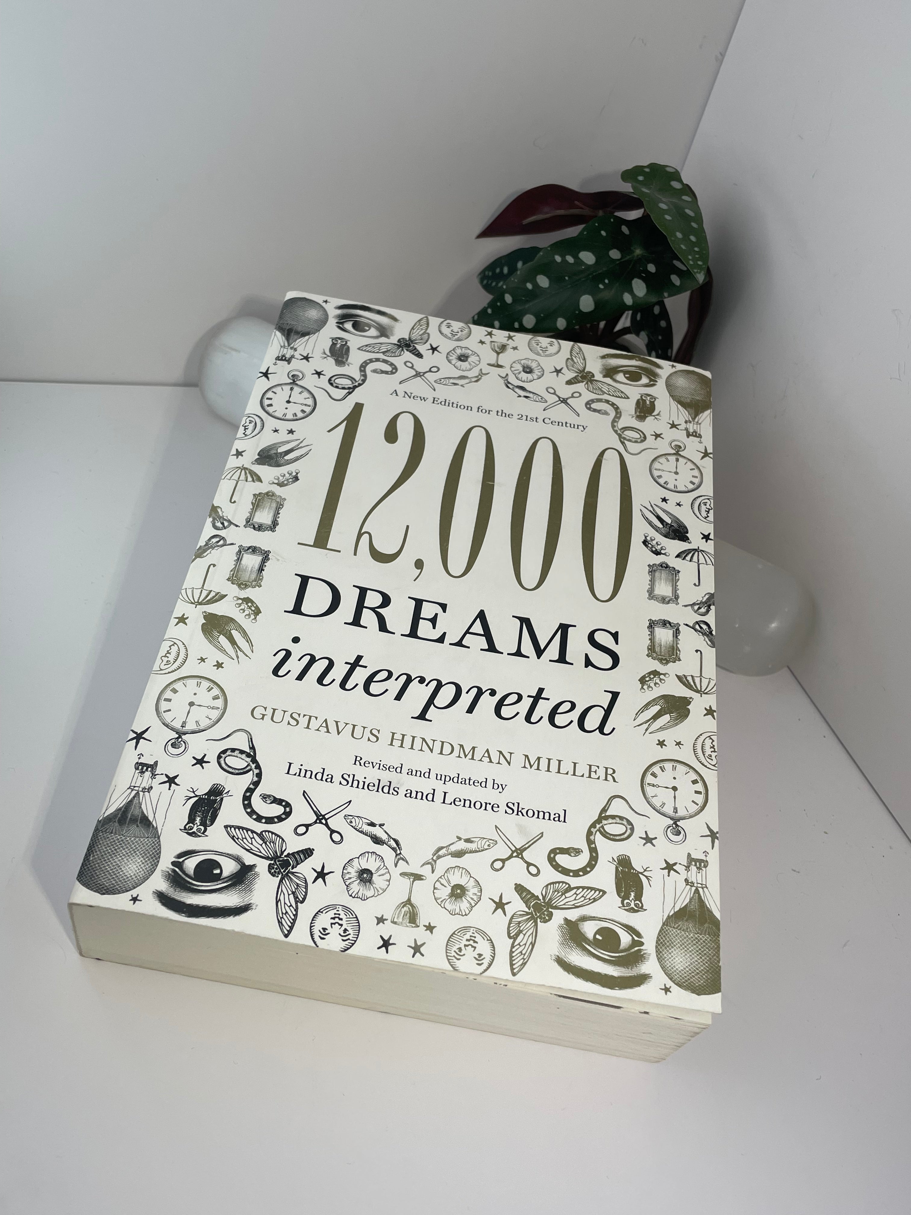 12000 Dreams Interpreted