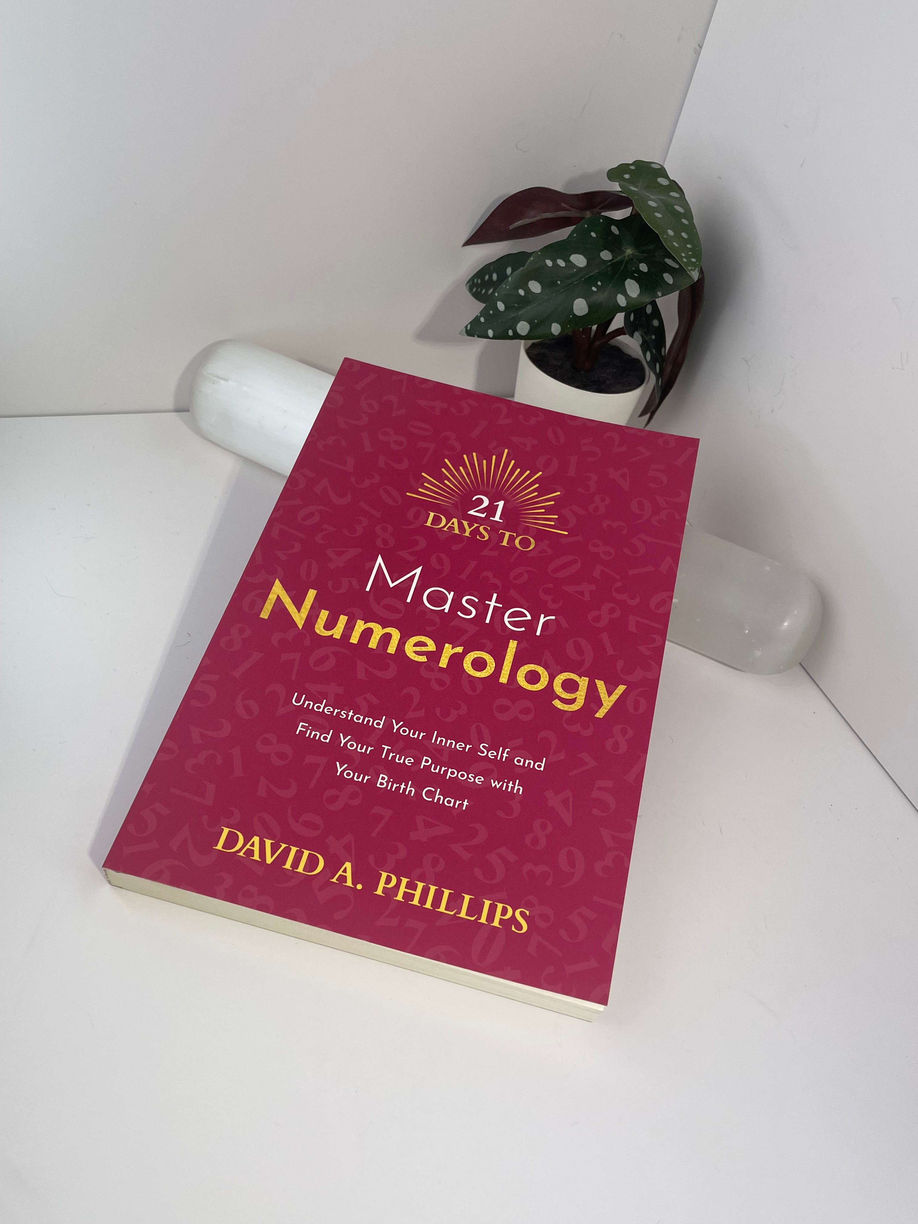 21 Days to Master Numerology