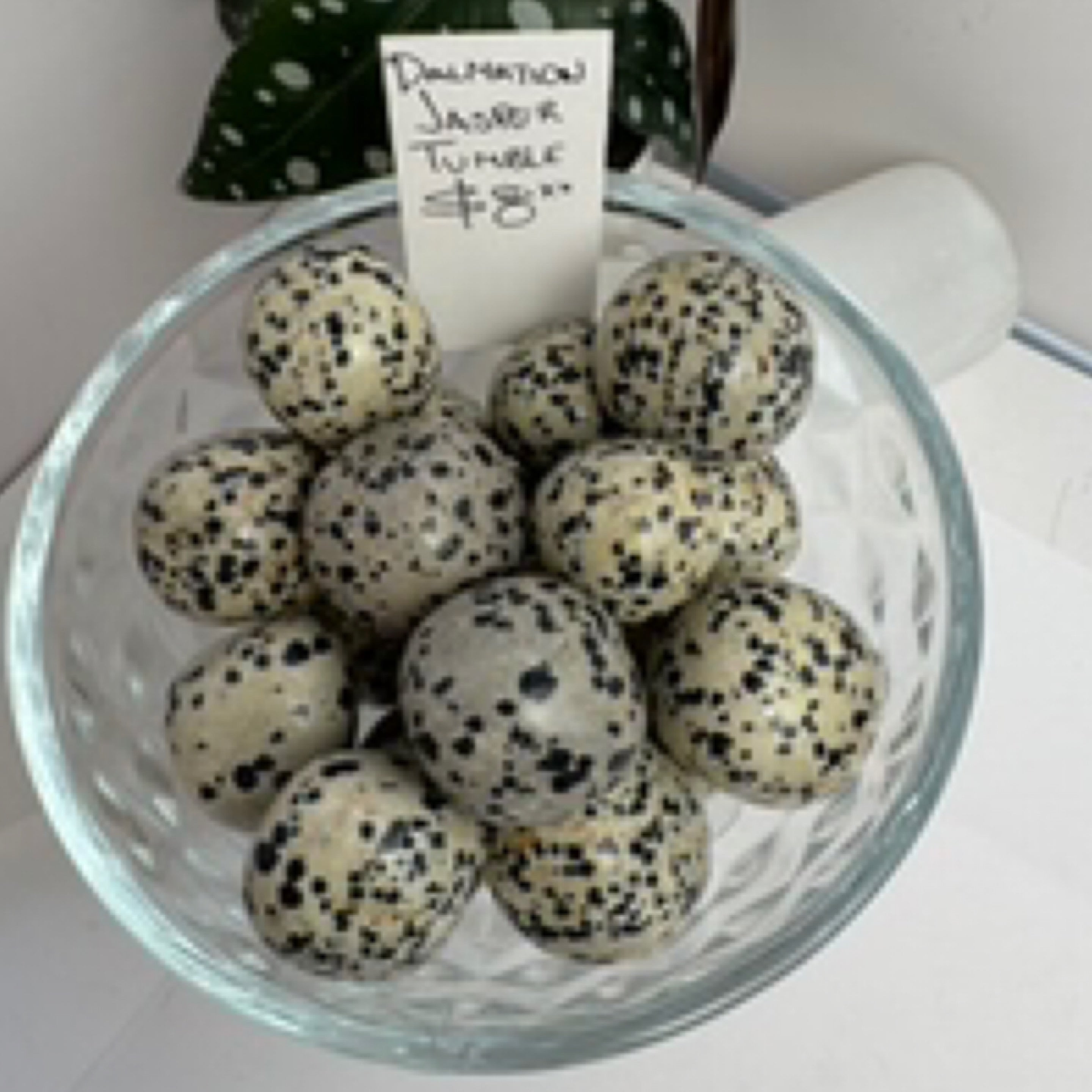 Dalmatian Jasper Tumbles