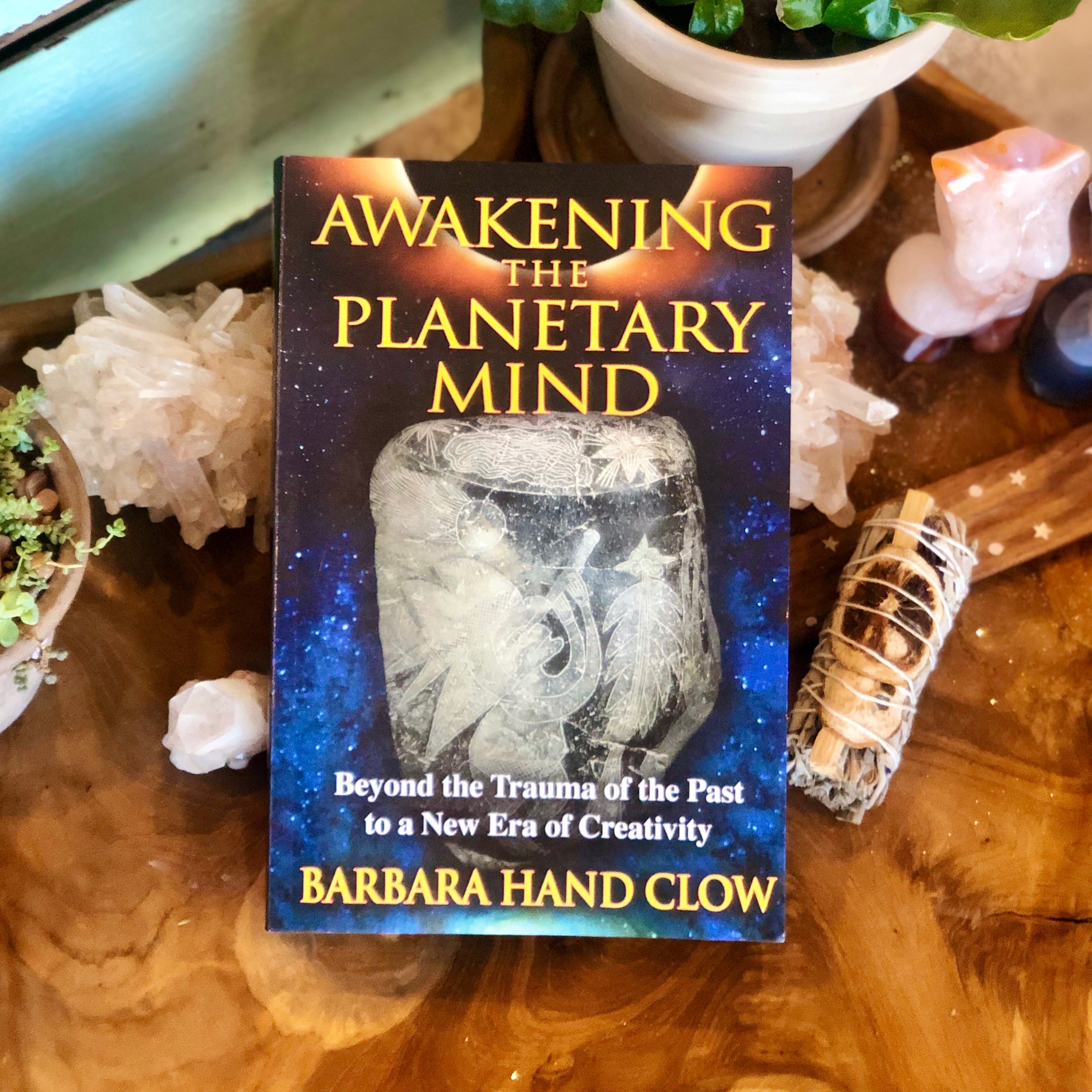Awakening The Planetary Mind