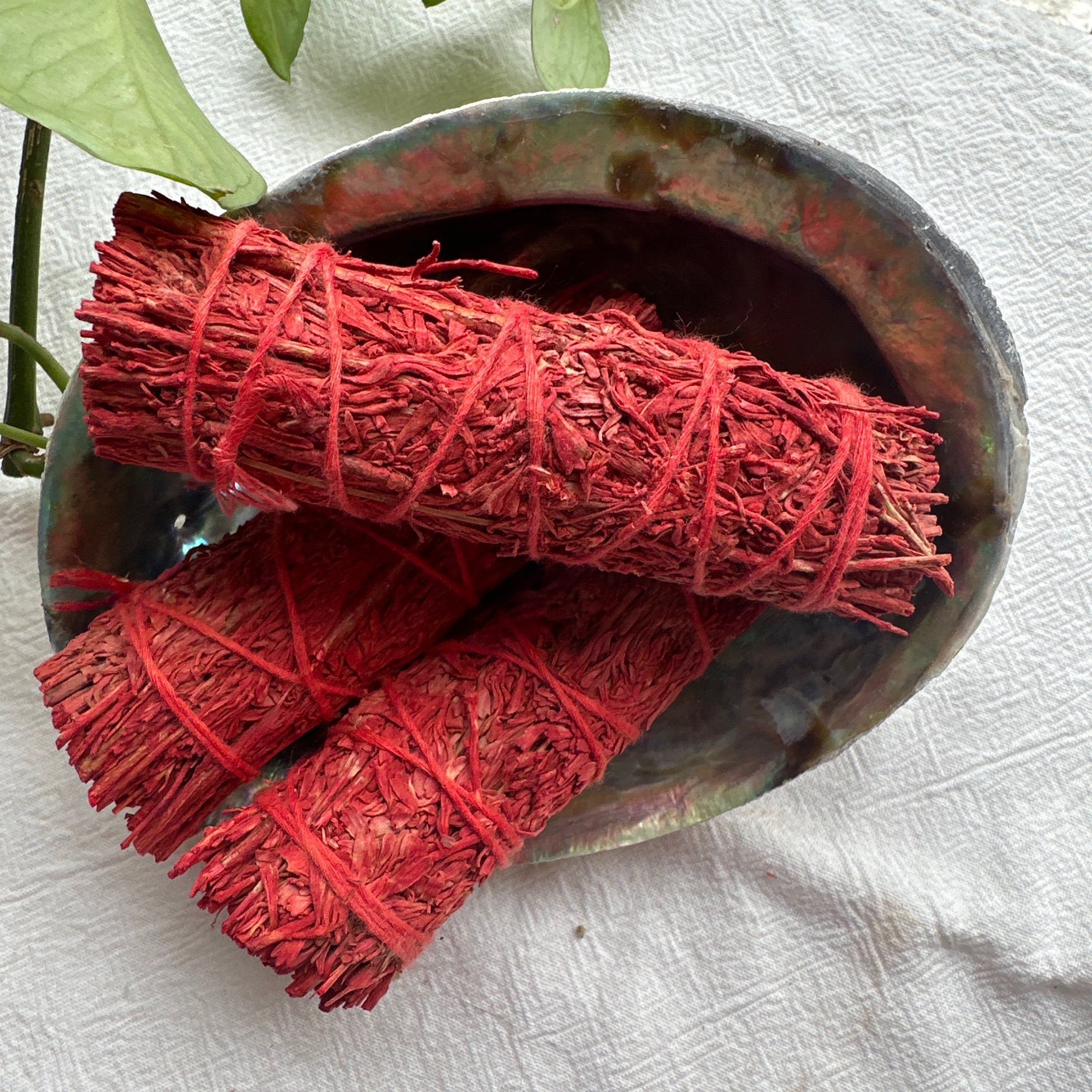Dragons Blood Smudge Stick Bundle