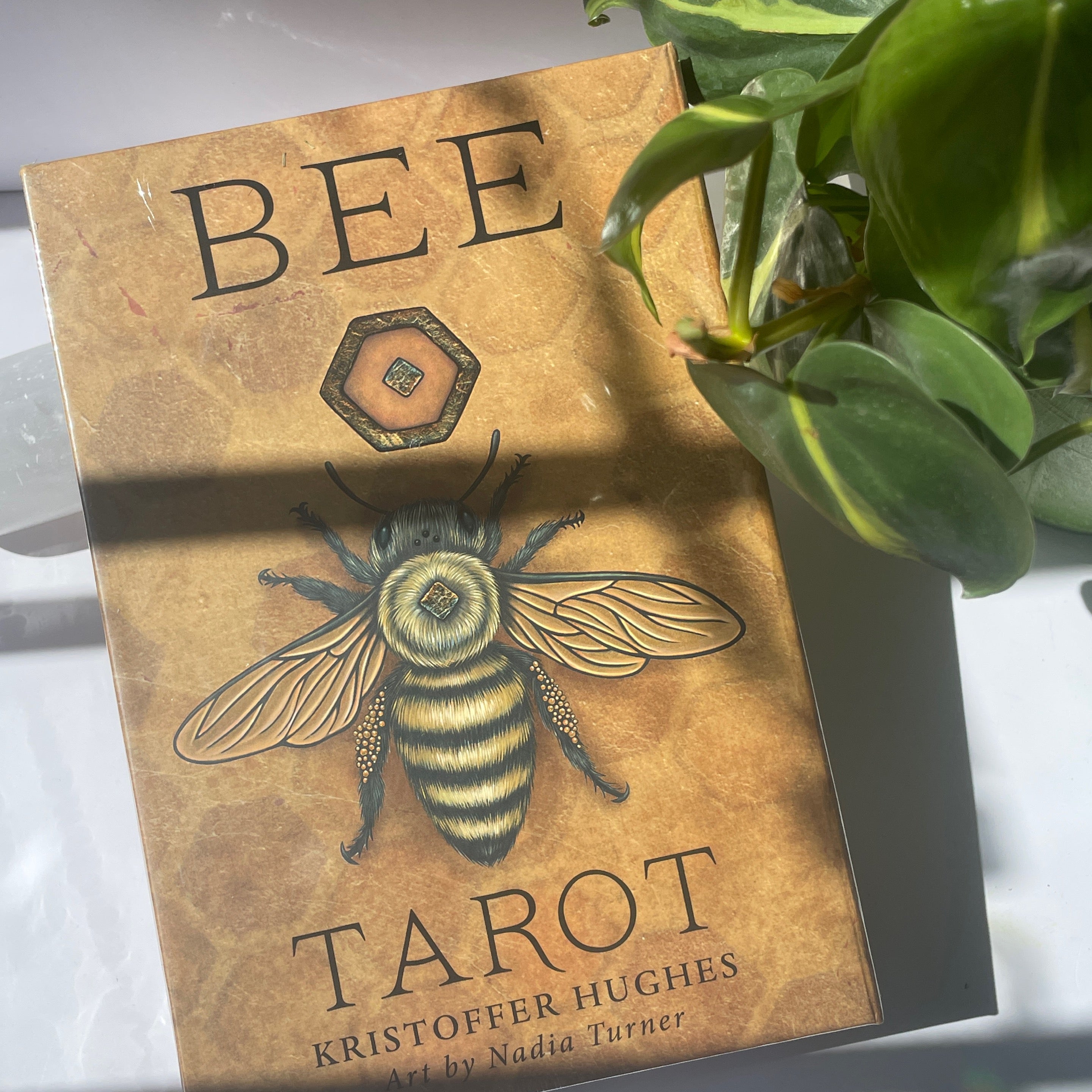 Bee Tarot