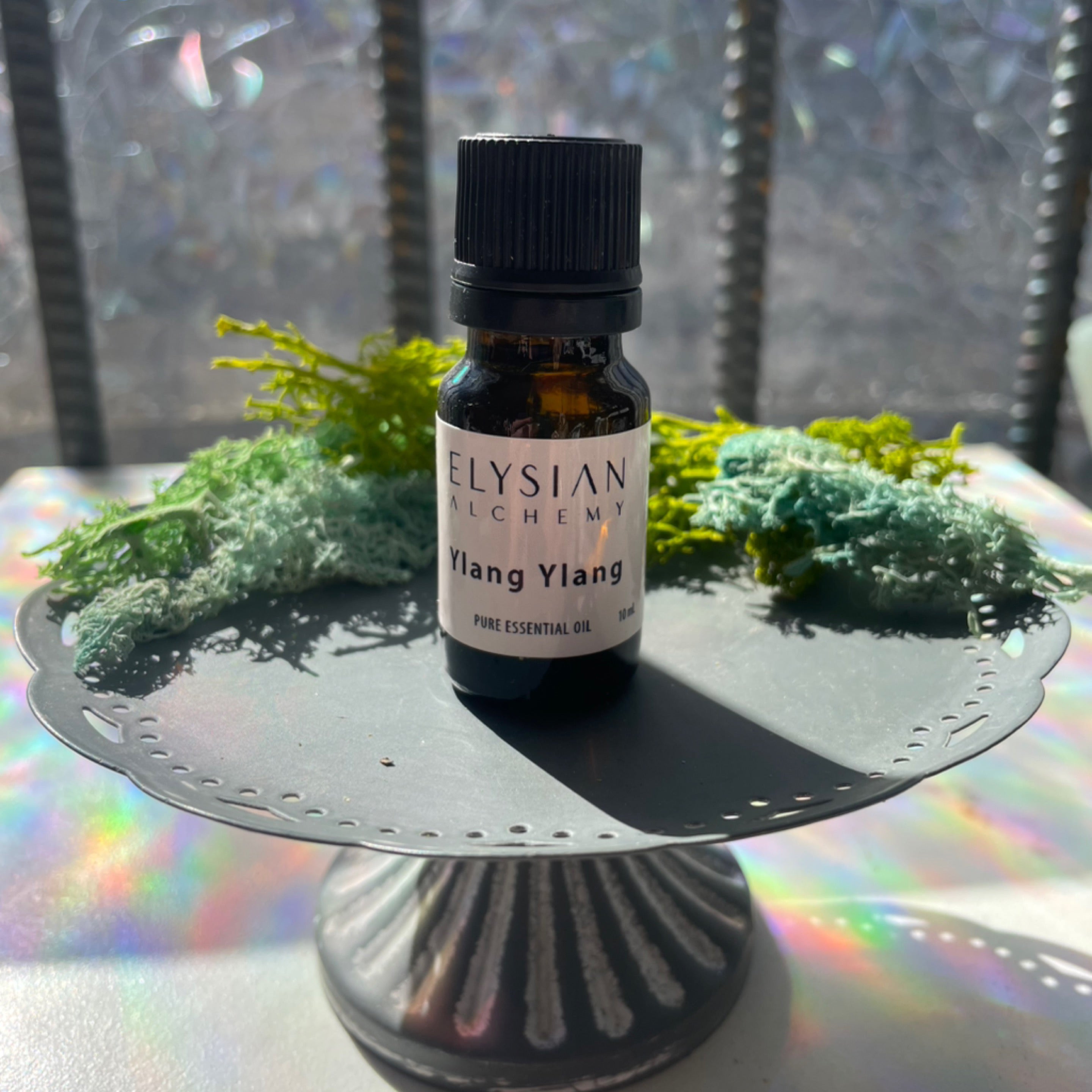 Ylang Ylang - Essential Oil