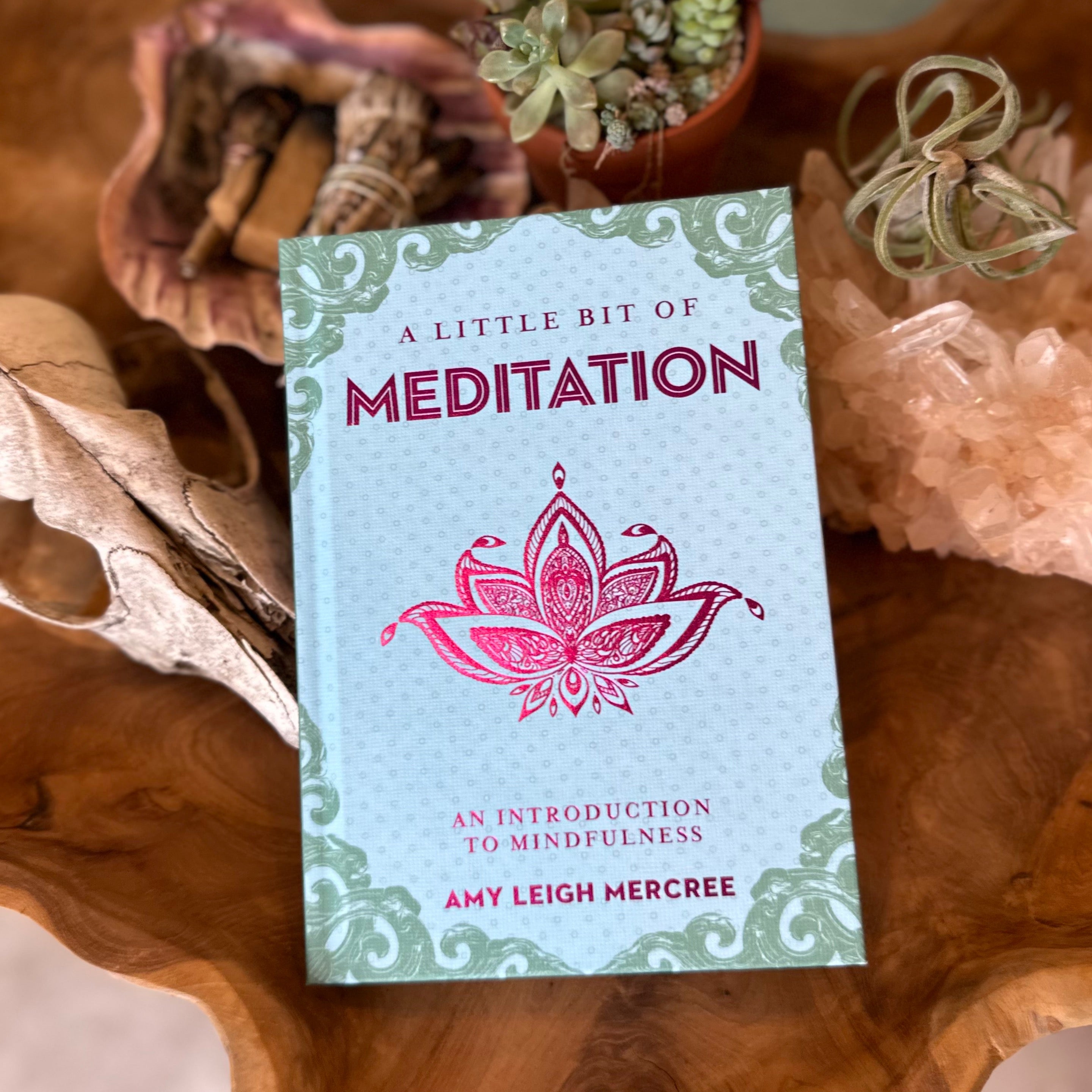 A Little Bit of Meditation Book