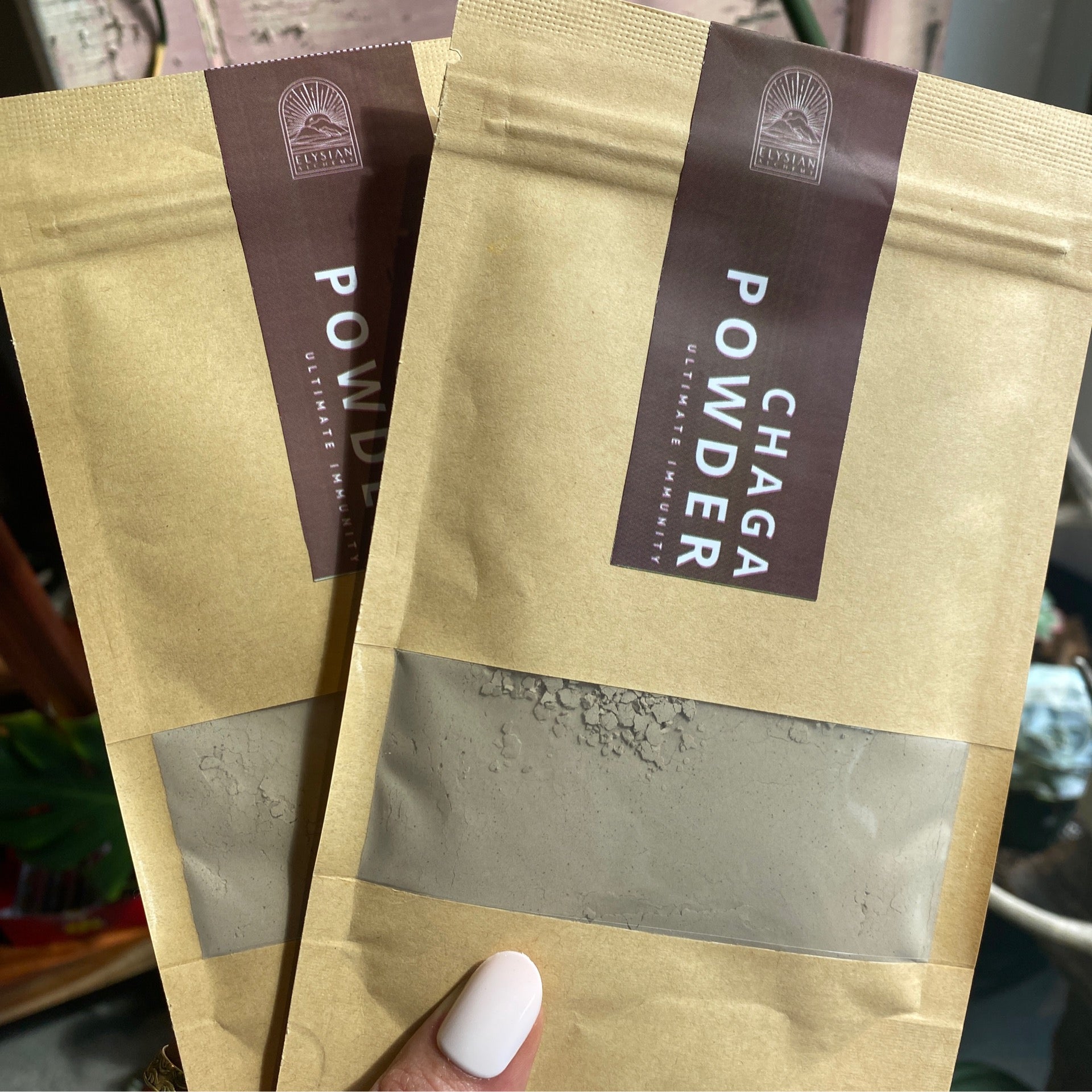 Elysian Organic Chaga Powder