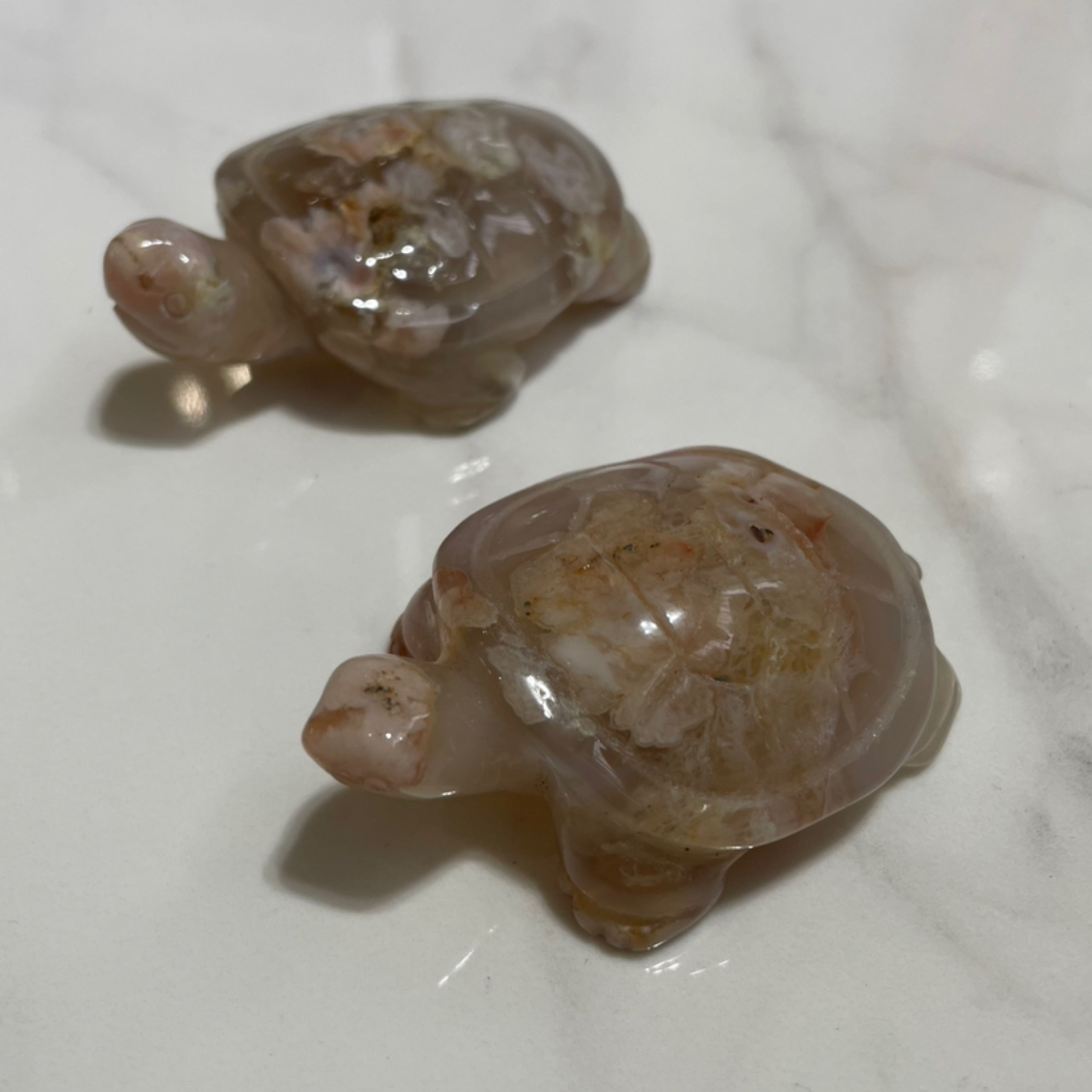 Flower Agate Turtle