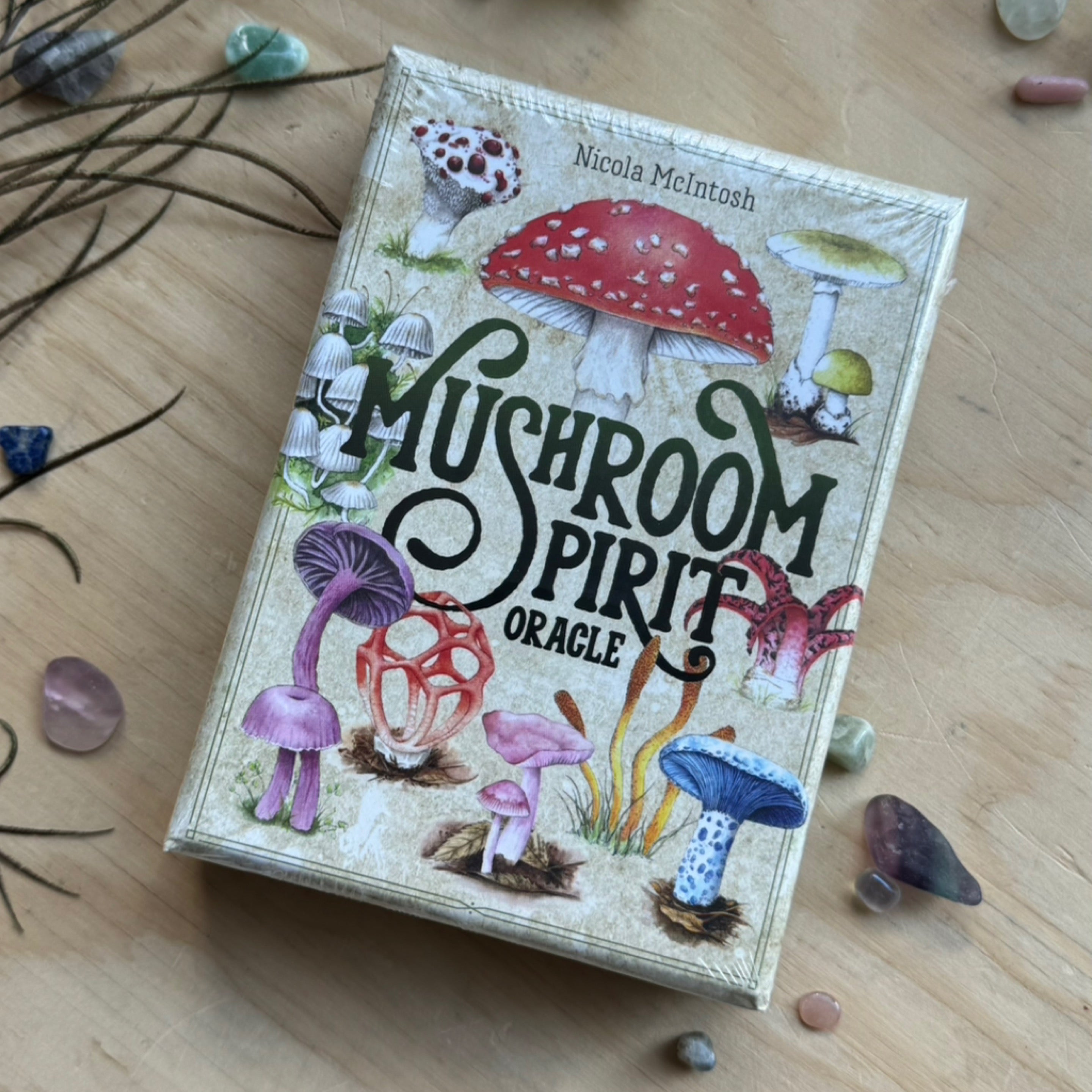 Mushroom Spirit Oracle