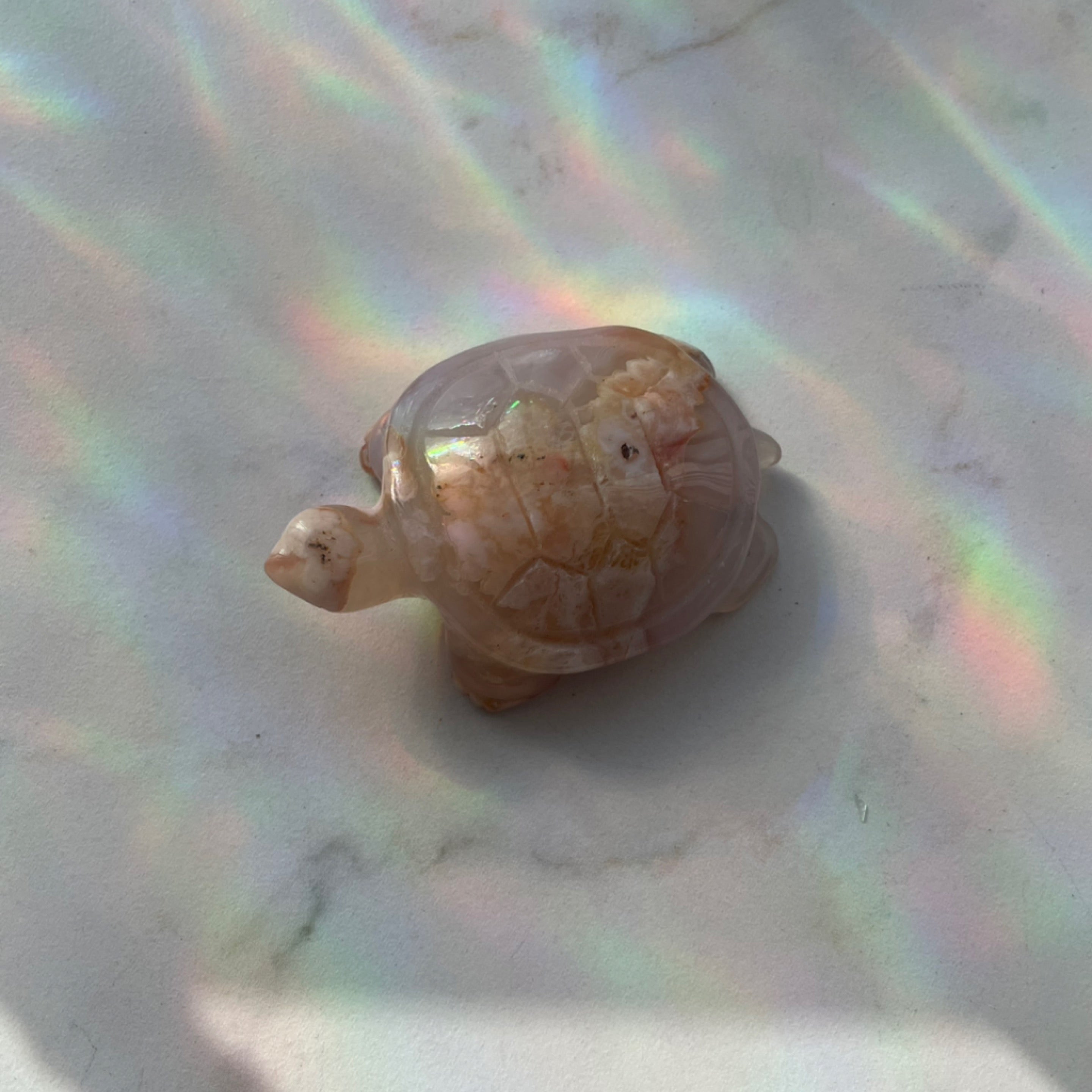 Flower Agate Turtle