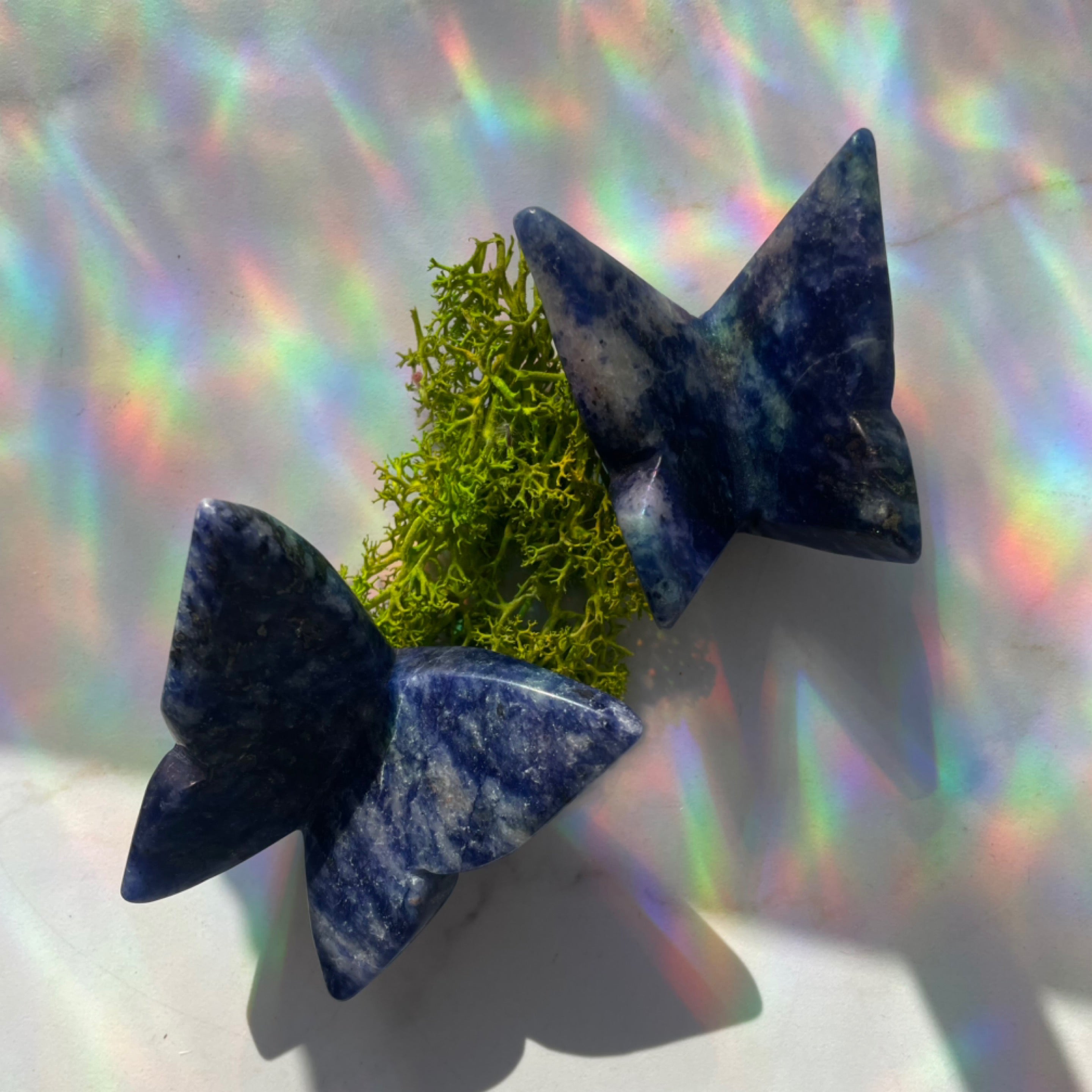 Sodalite Butterfly