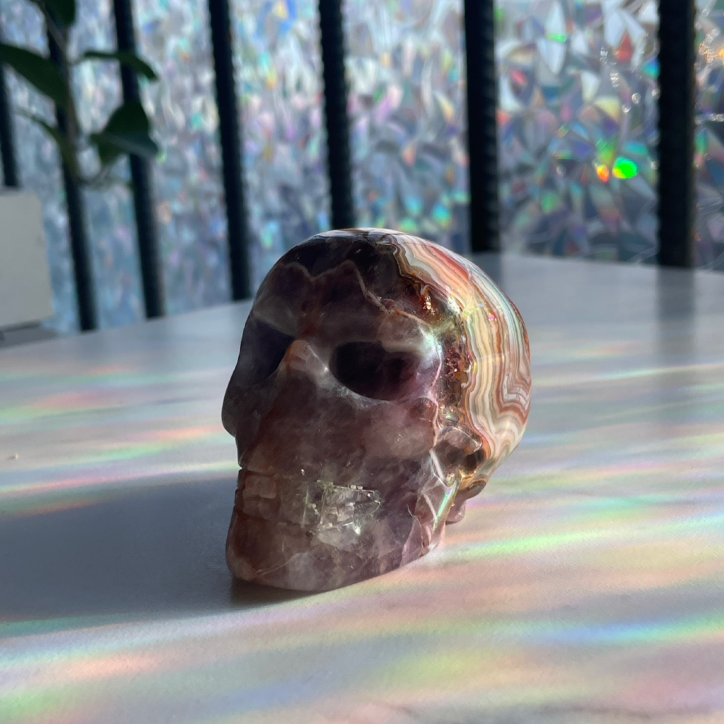 Amethyst and Crazy Lace Agate Skull