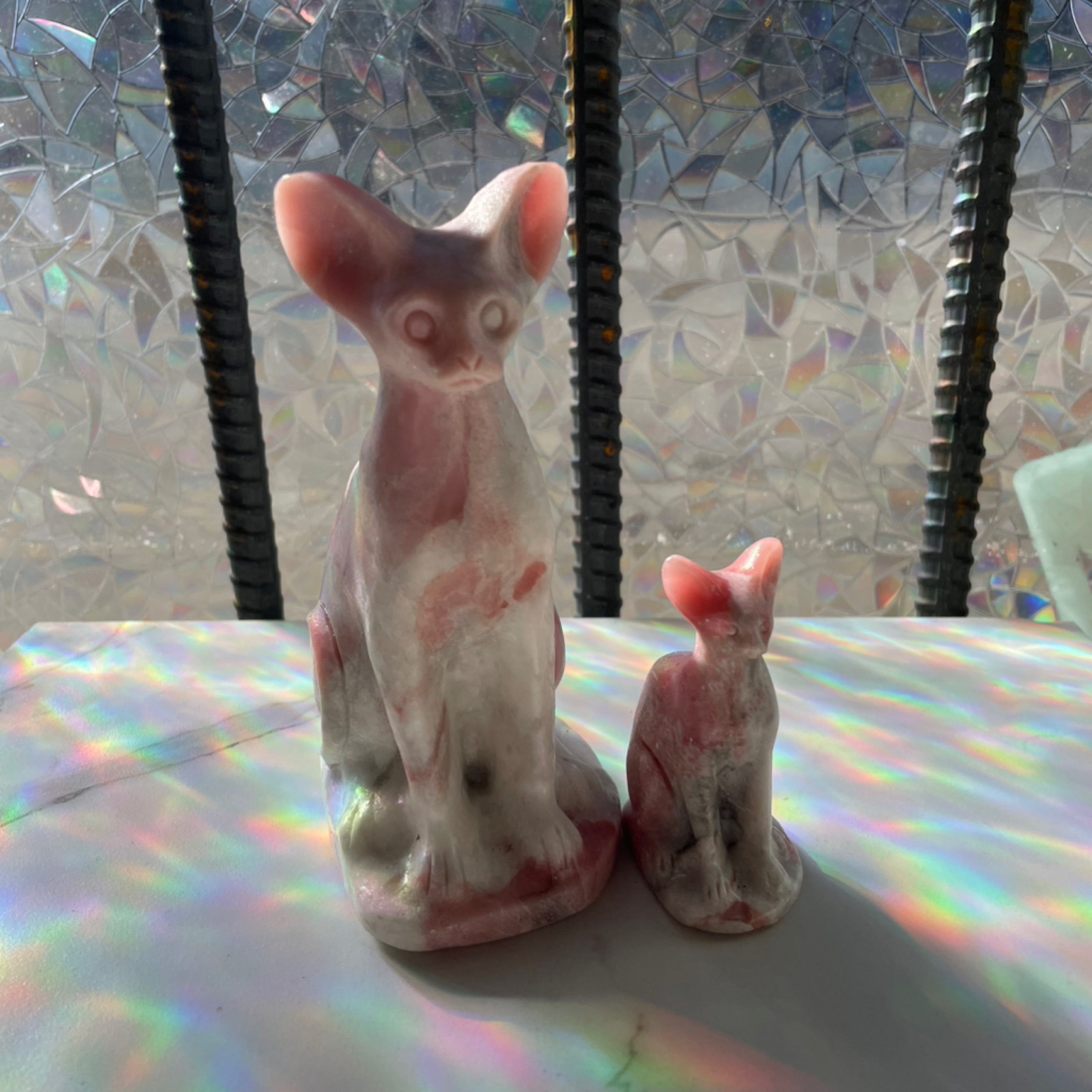 Pink Opal Sphinx Cat