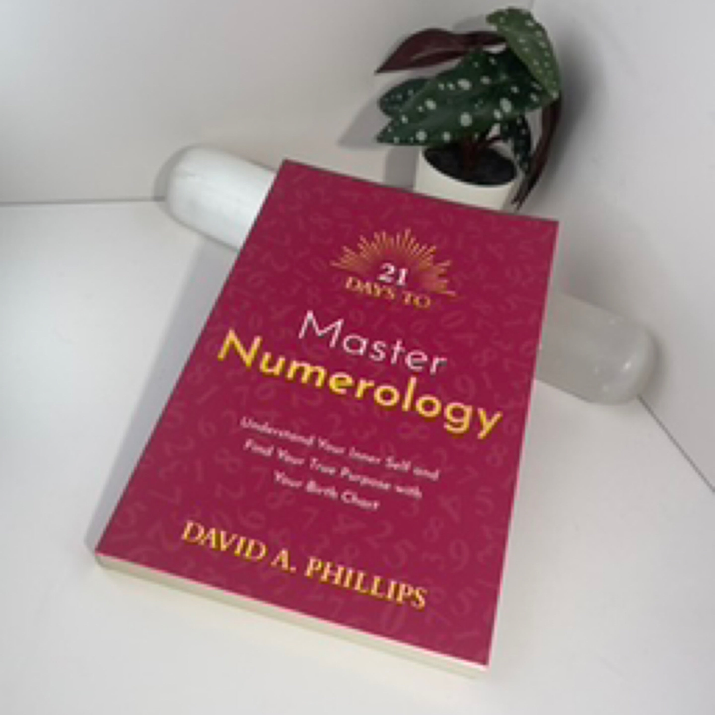 21 Days to Master Numerology