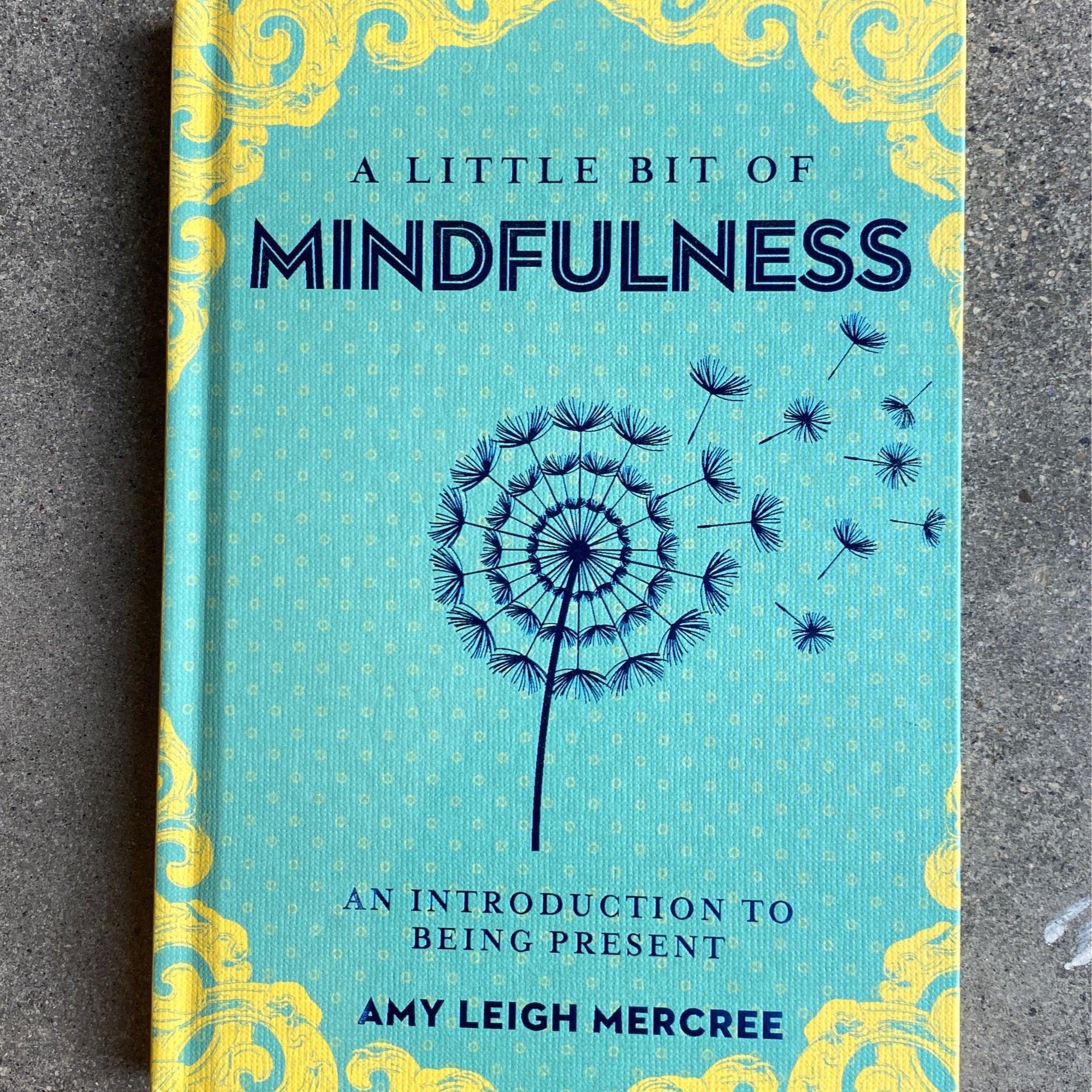A Little Bit Of Mindfulness Book