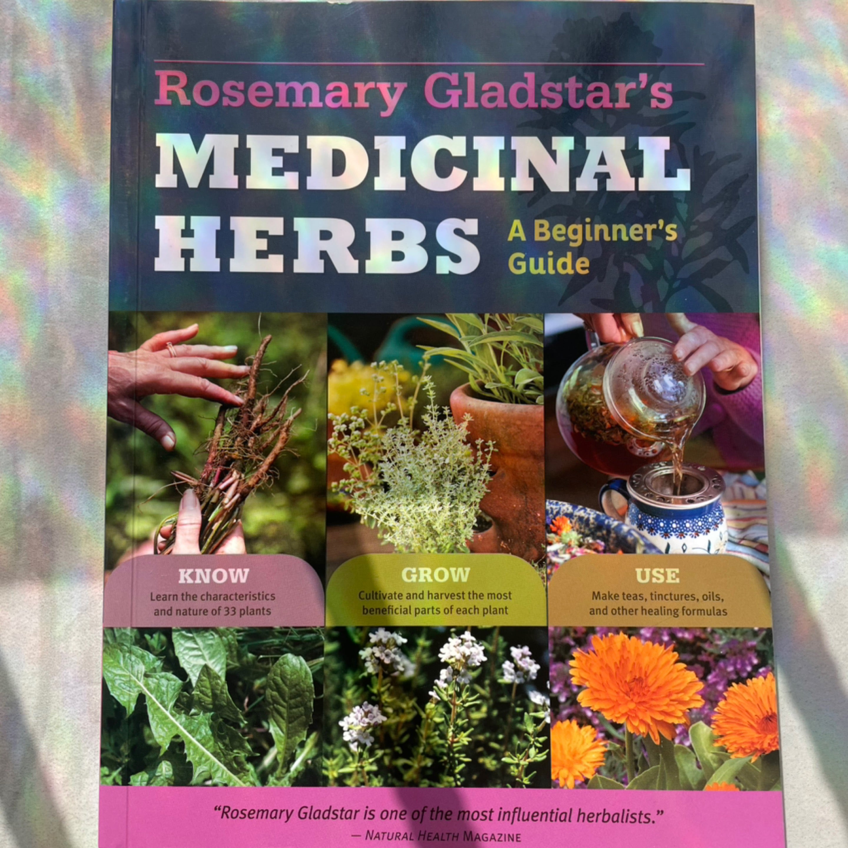 Medicinal Herbs a Beginners Guide