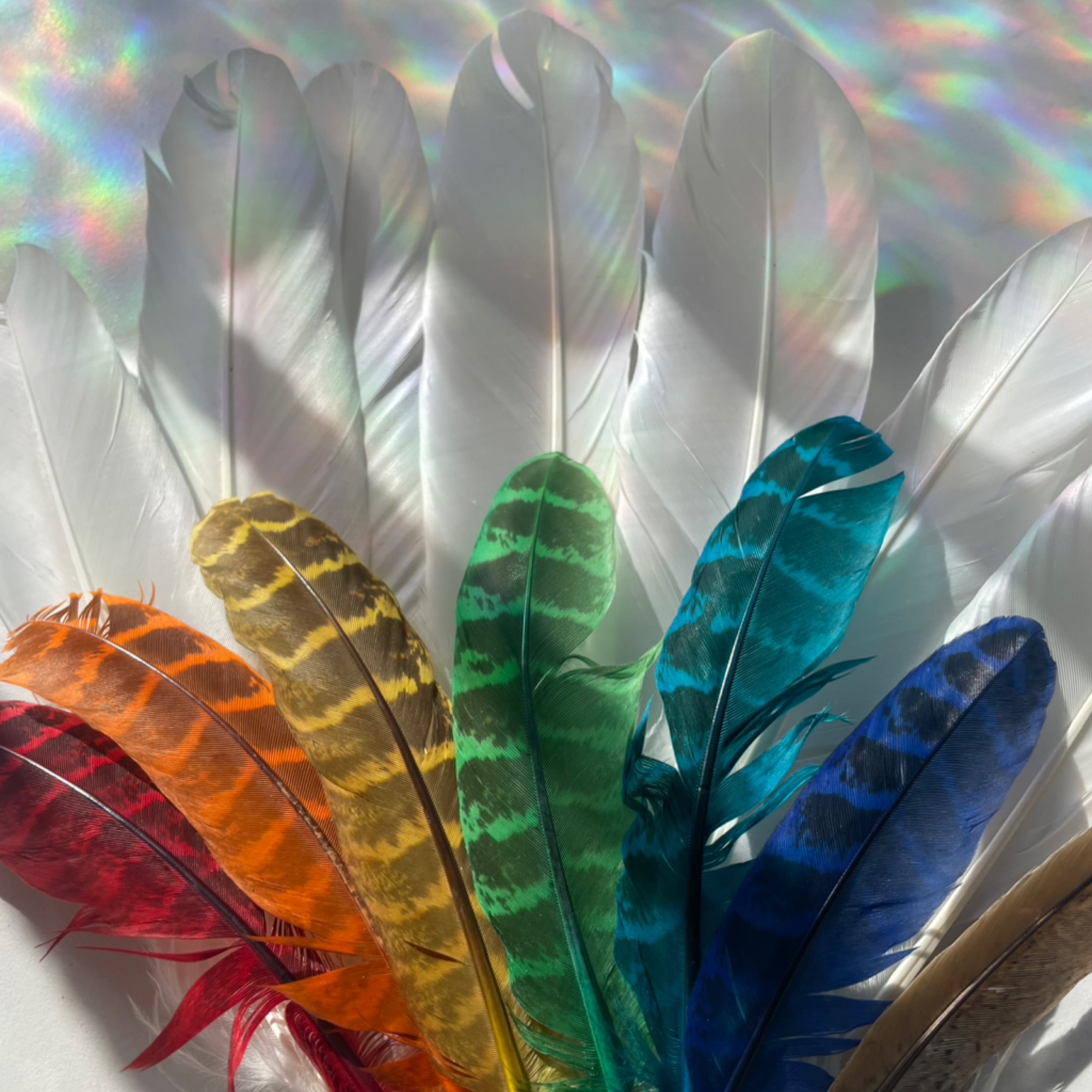 Smudge Feathers