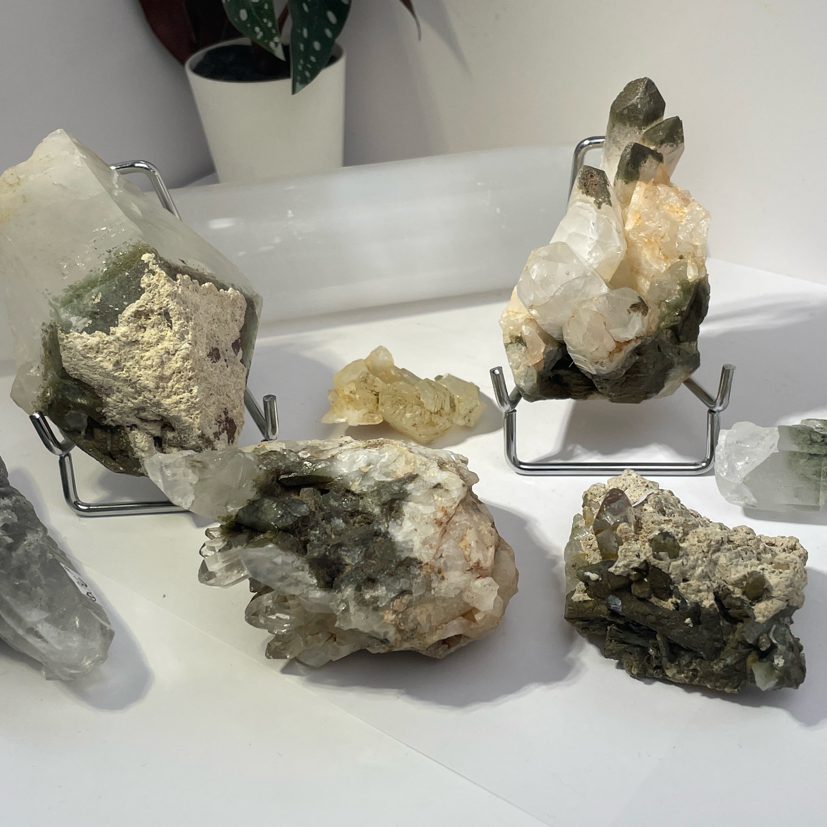 Forest Epidote