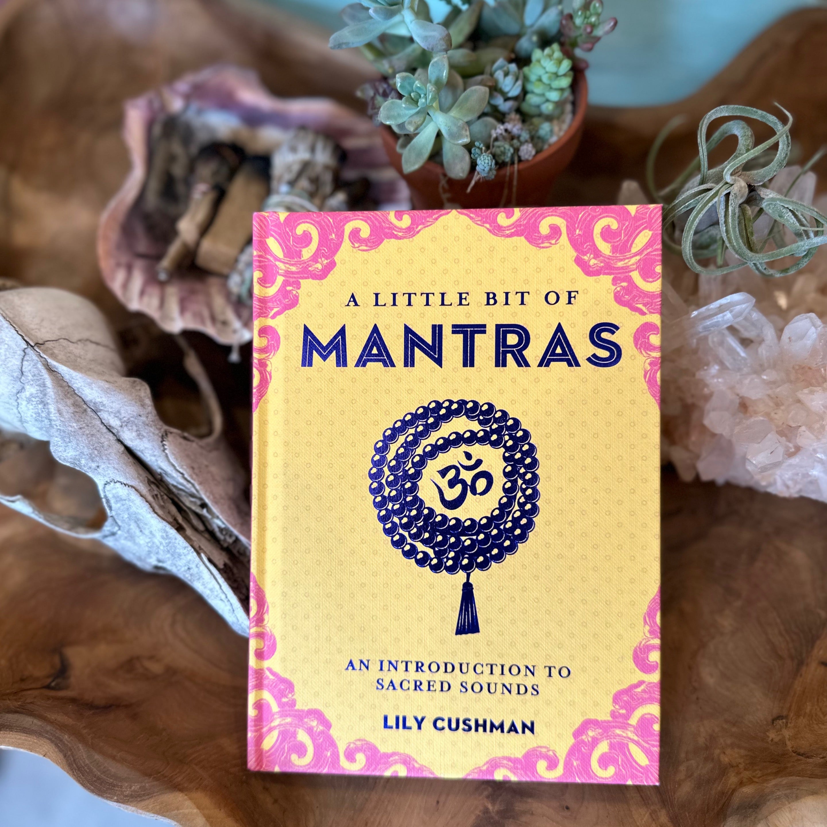 A Little Bit of Mantras Book