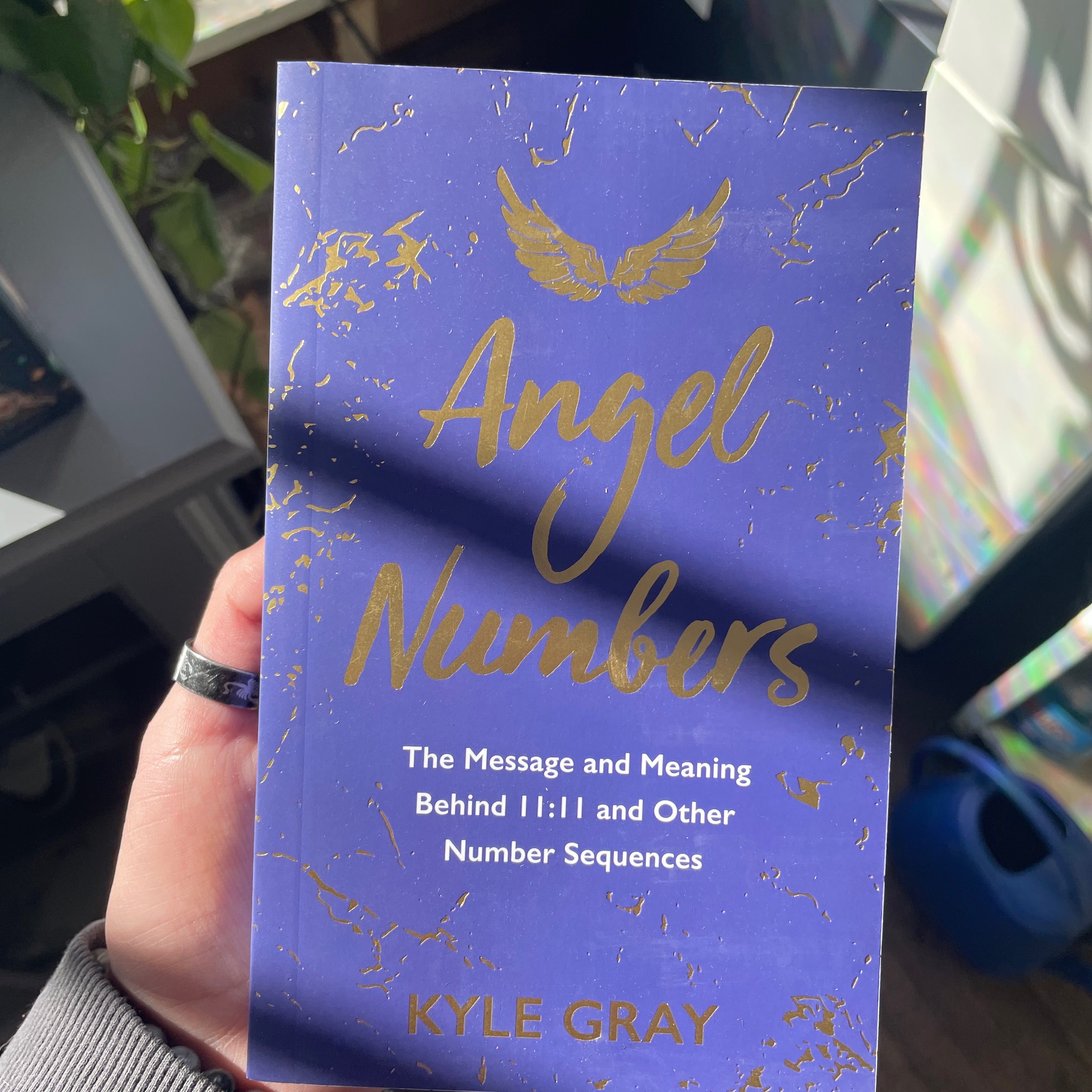 Angel Numbers Book