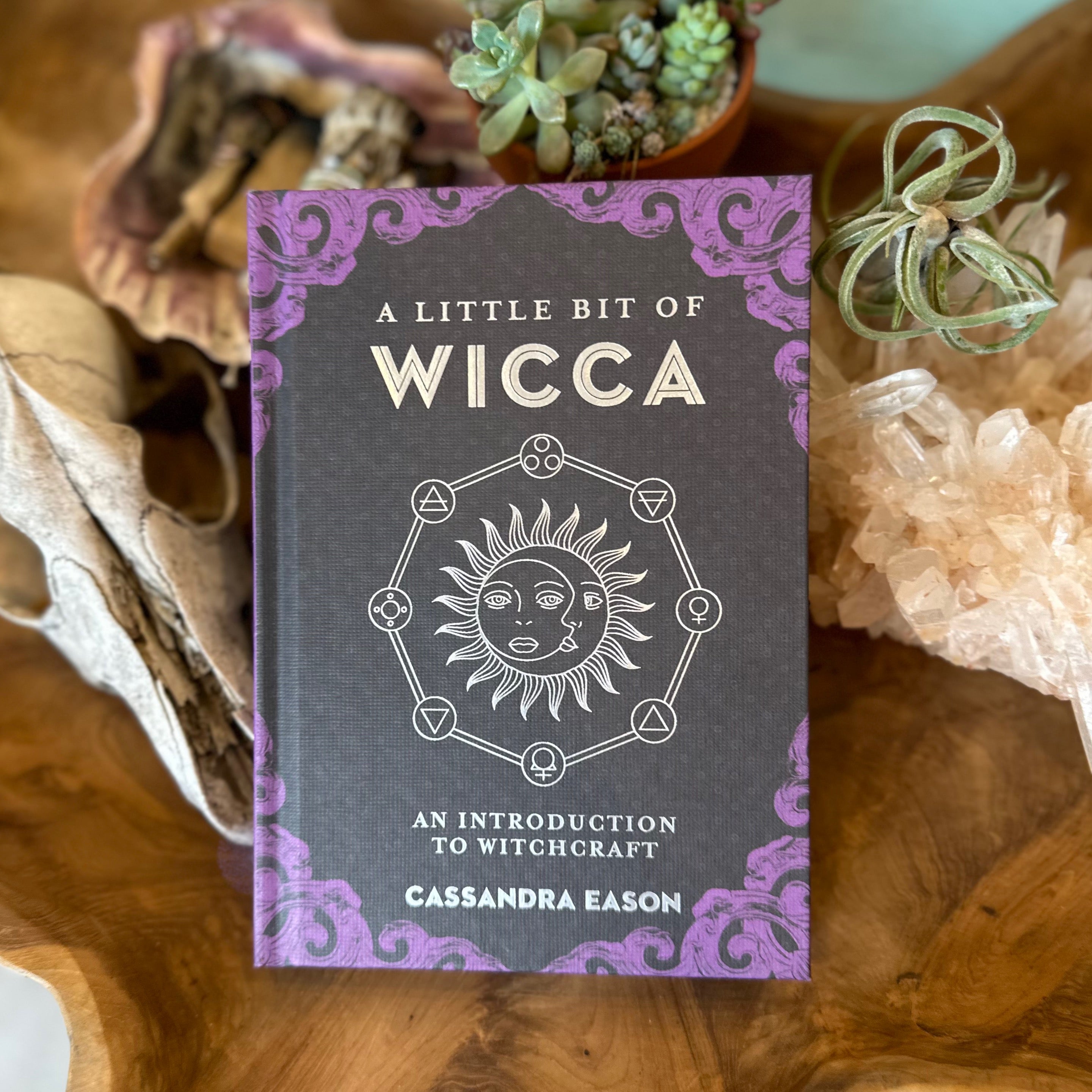 A Little Bit Of Wicca Book