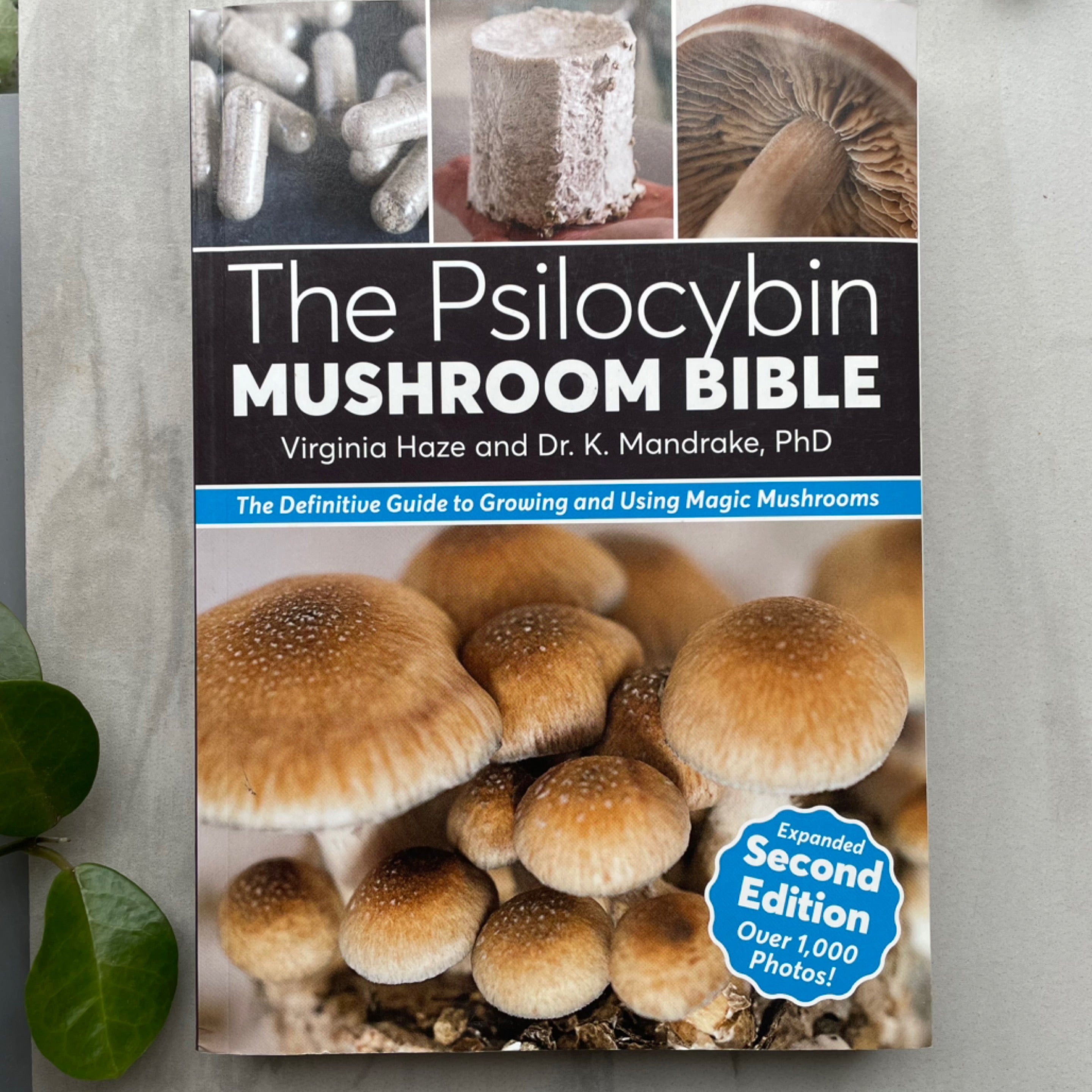 The Psilocybin Mushroom Bible