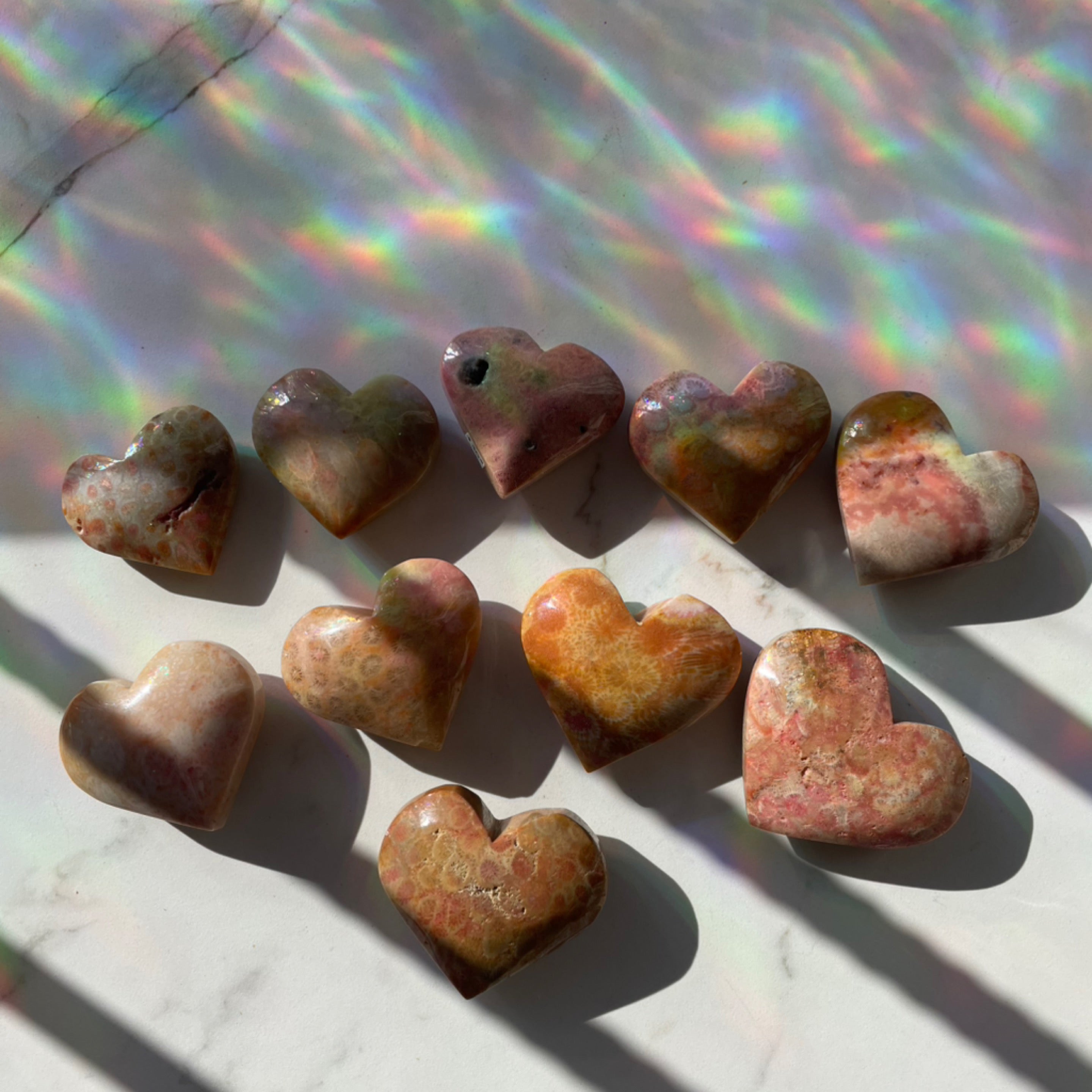 Fossil Coral Agate Hearts