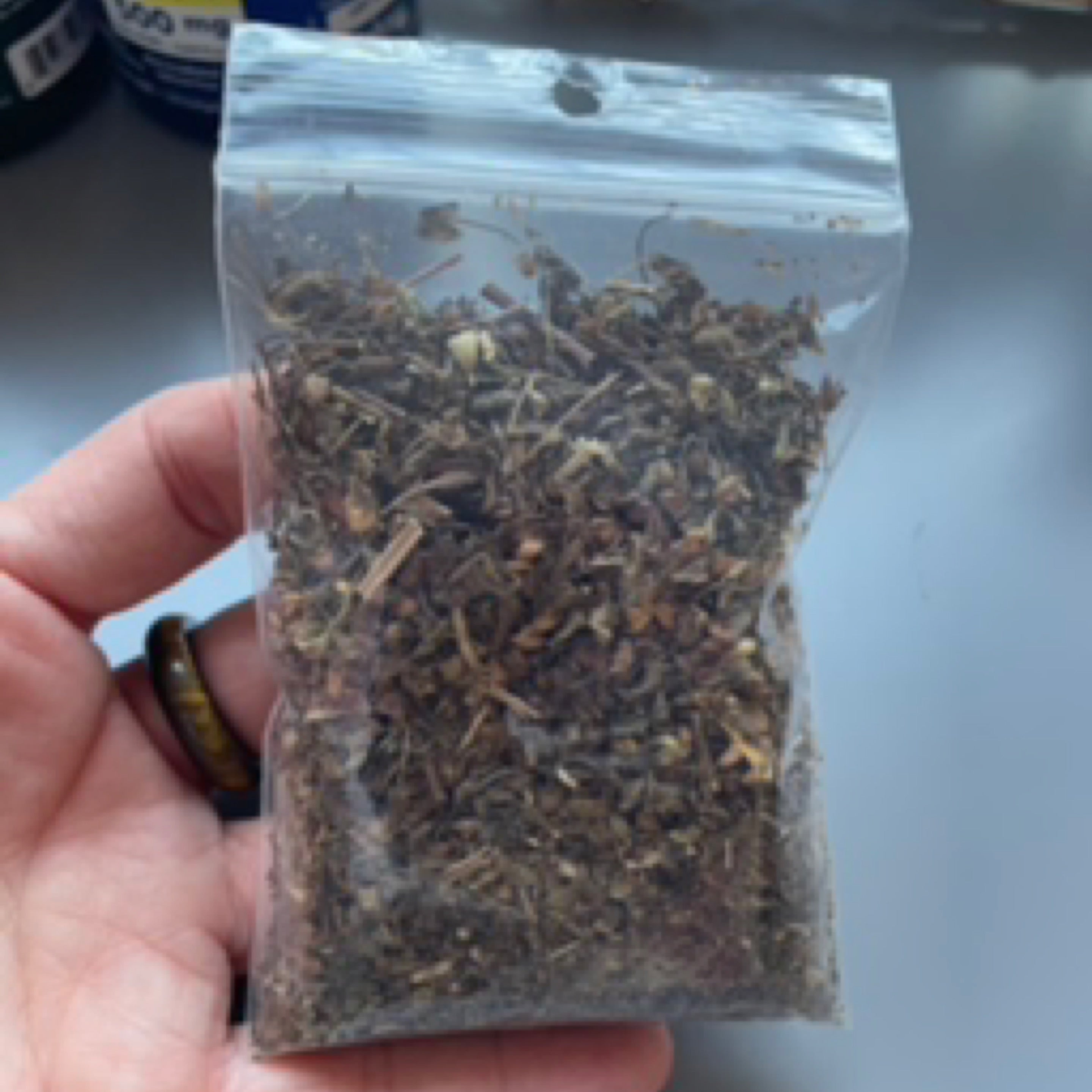 Herb - Holy Basil Tulsi