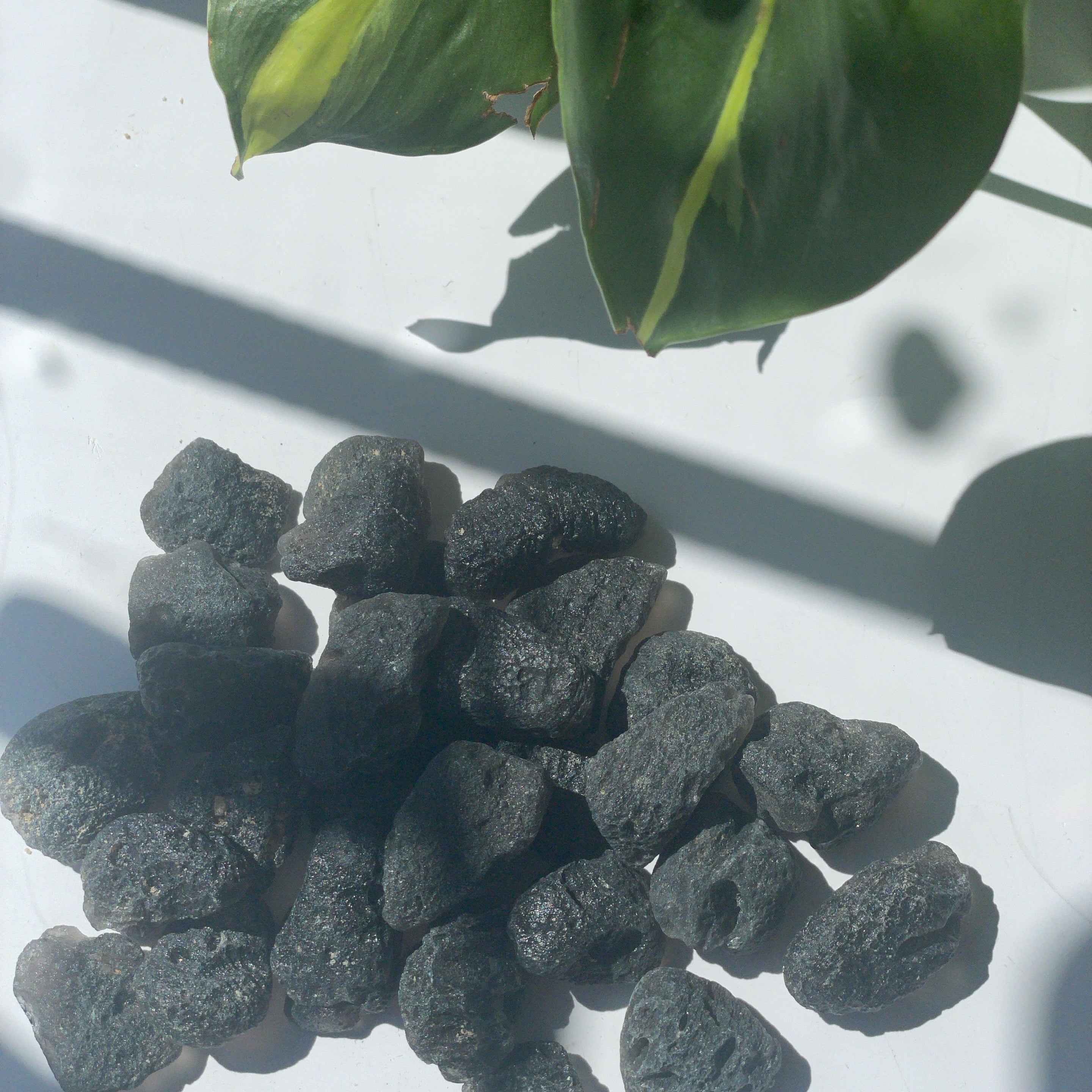 Agni Manitite Tumble
