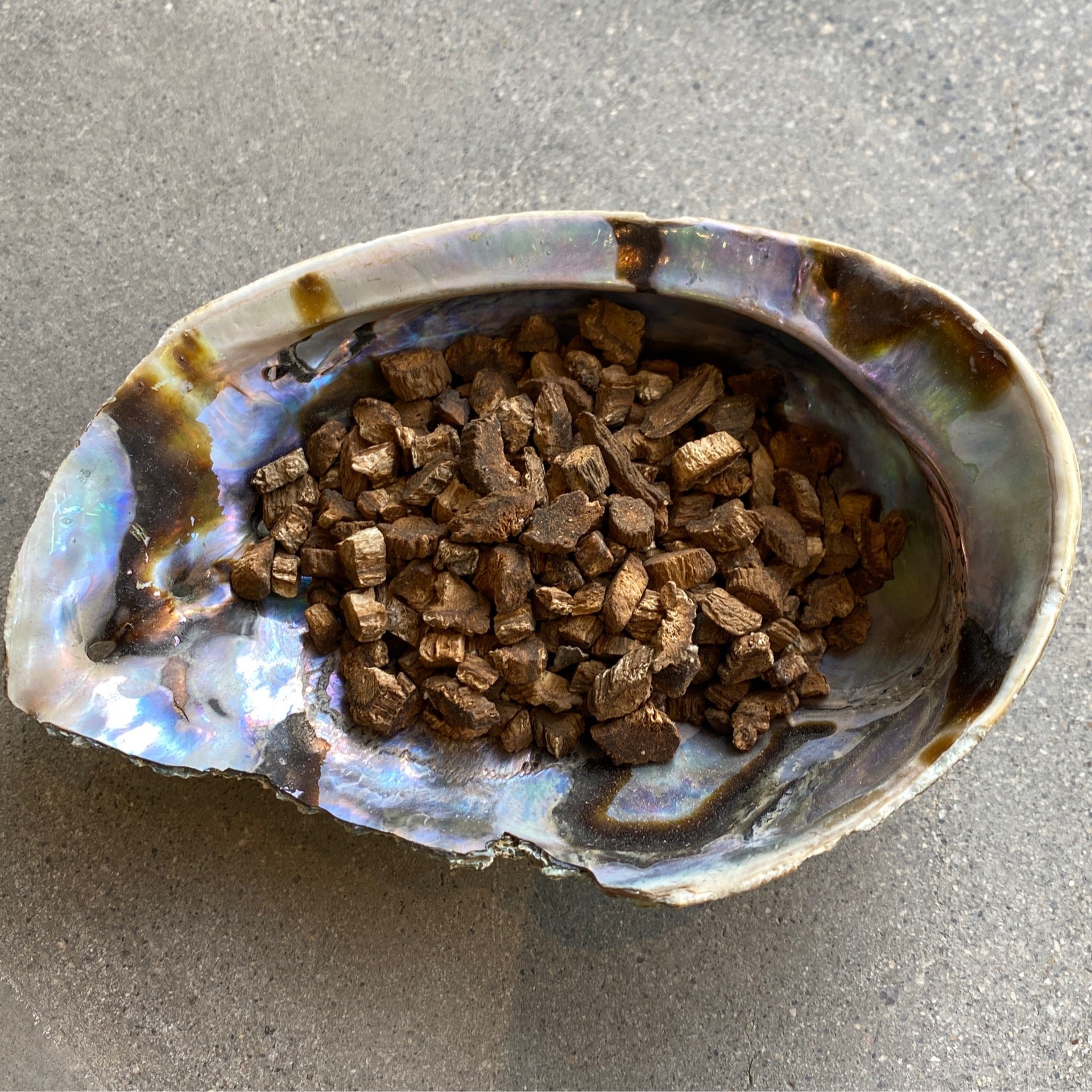 Burdock Root