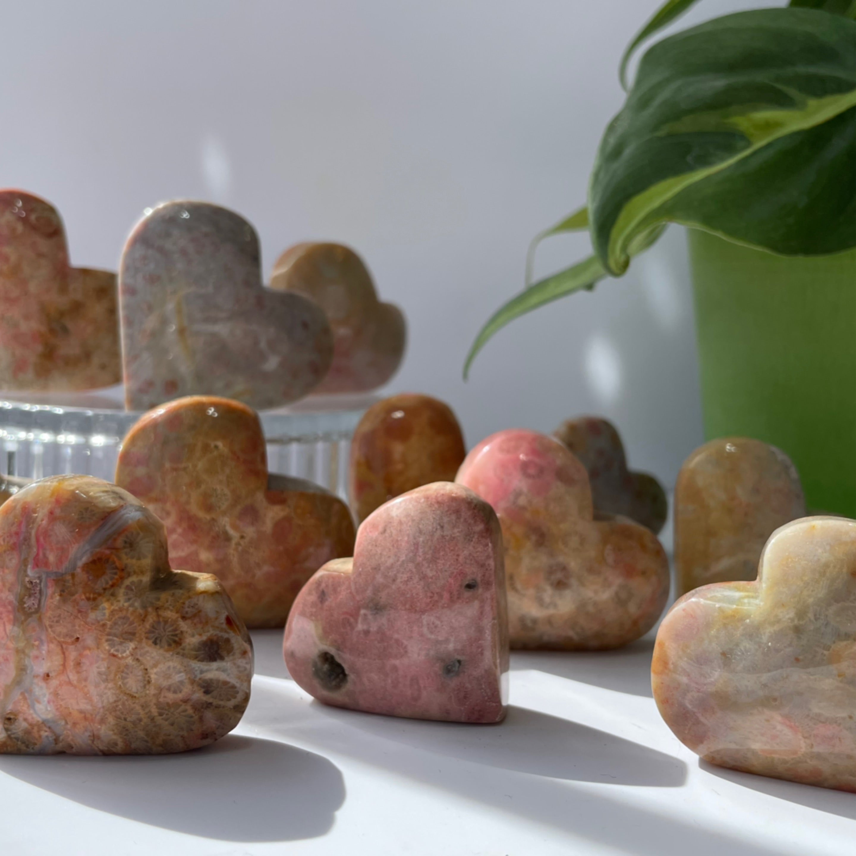 Fossil Coral Agate Heart