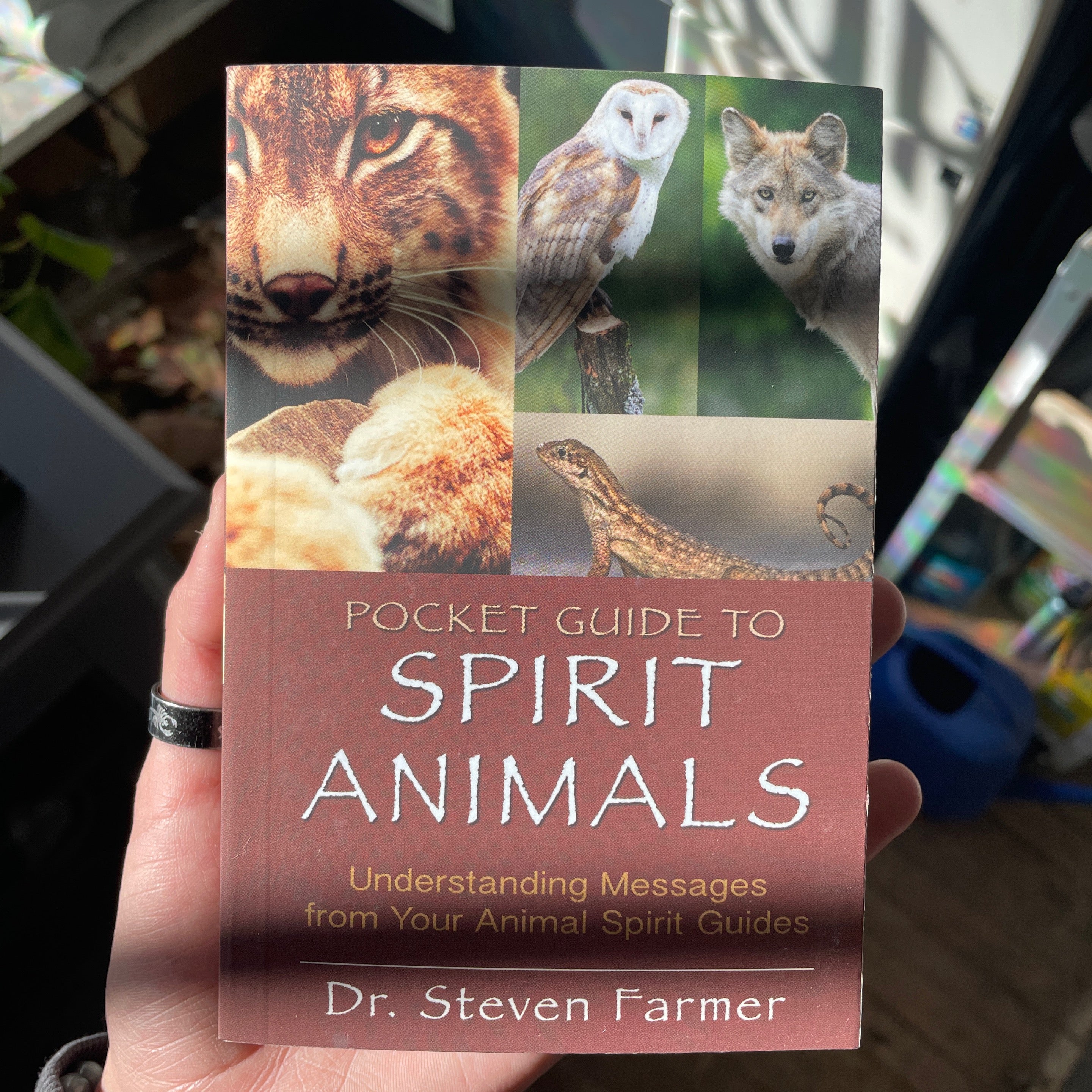 Pocket Guide to Spirit Animals