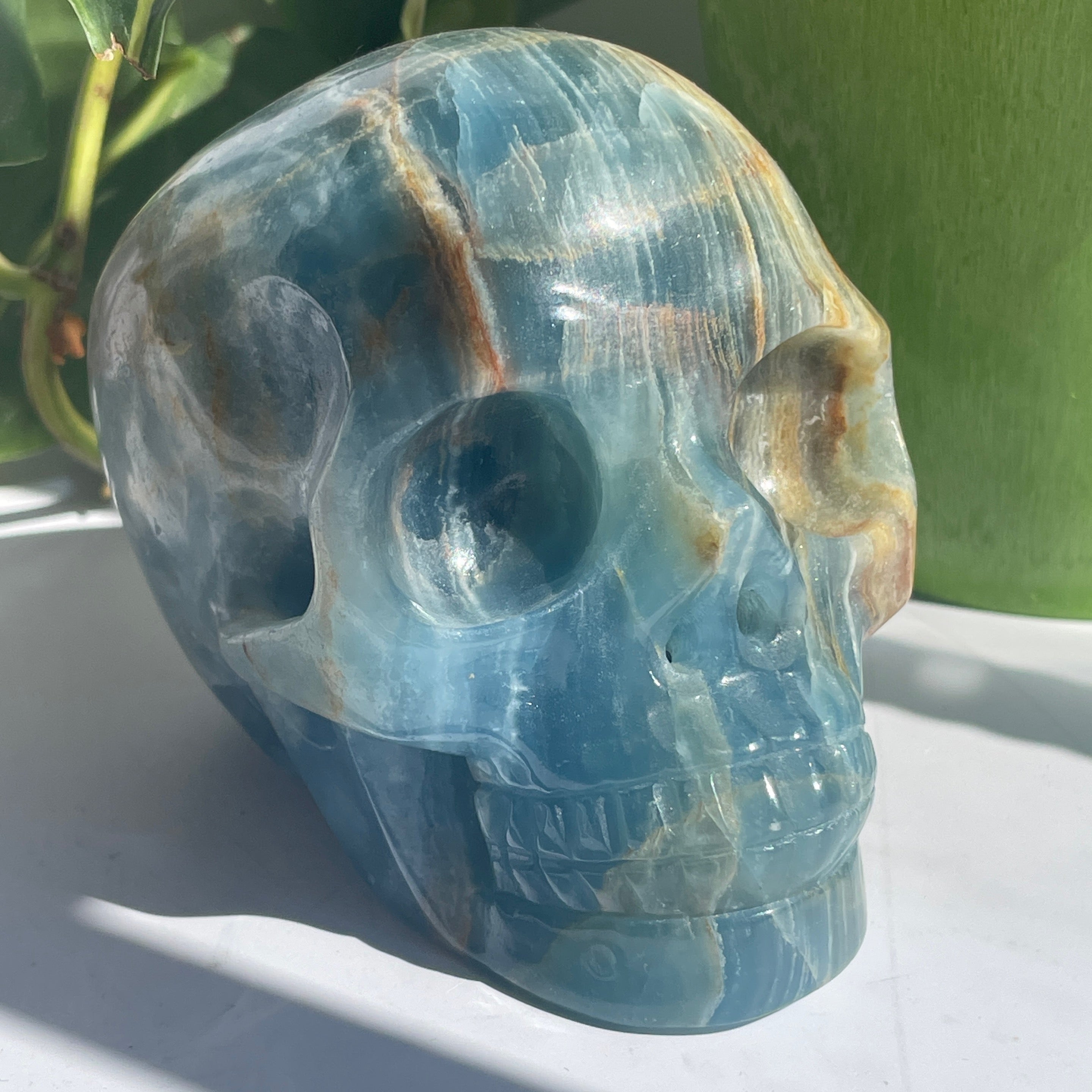 Blue Onyx Large Skull
