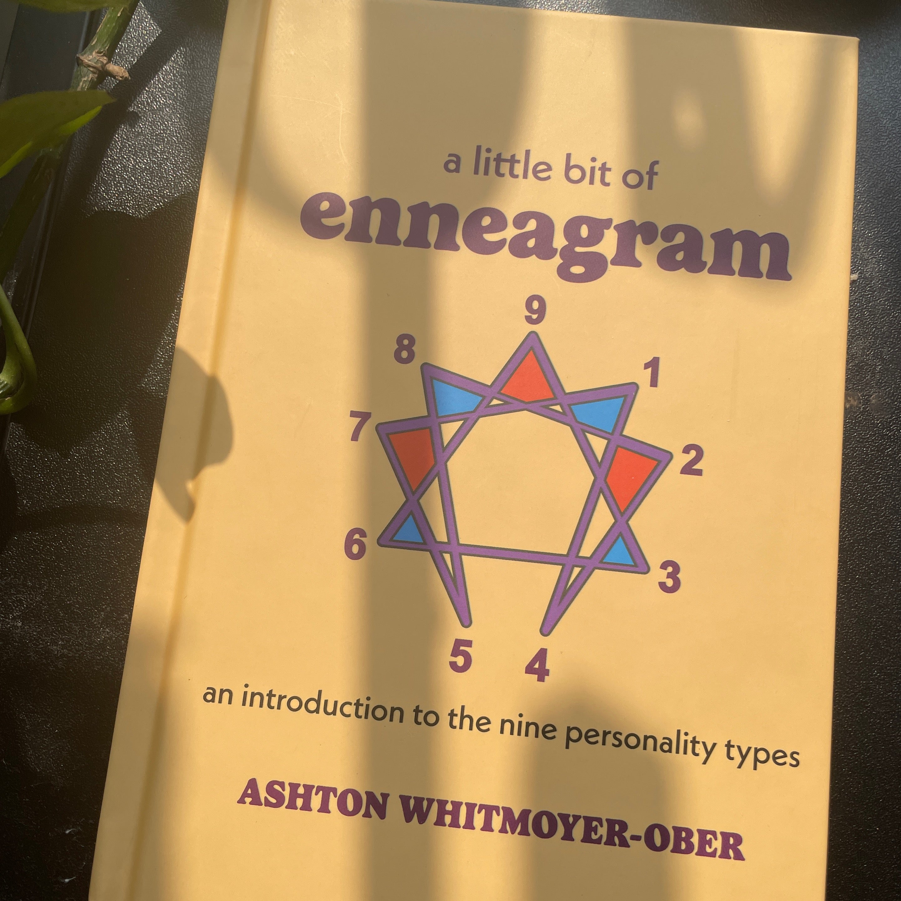 A Little Bit of Enneagram Book