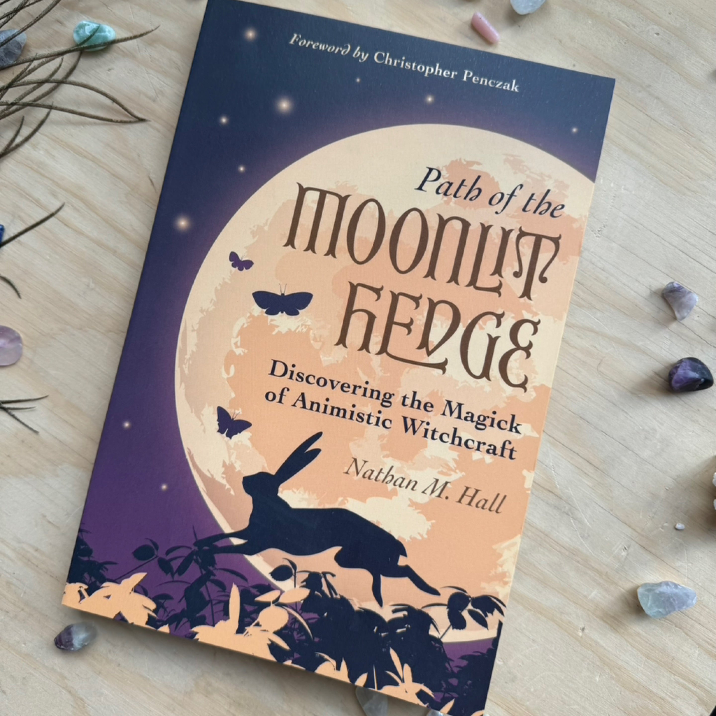 Path of the Moonlit Hedge Book
