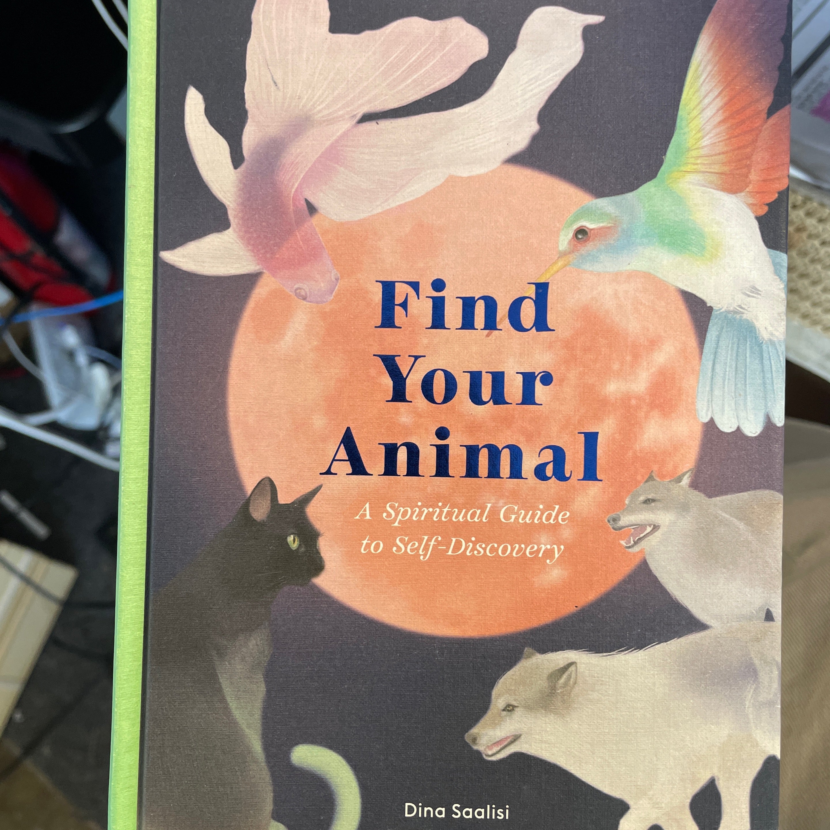 Find Your Animal Book