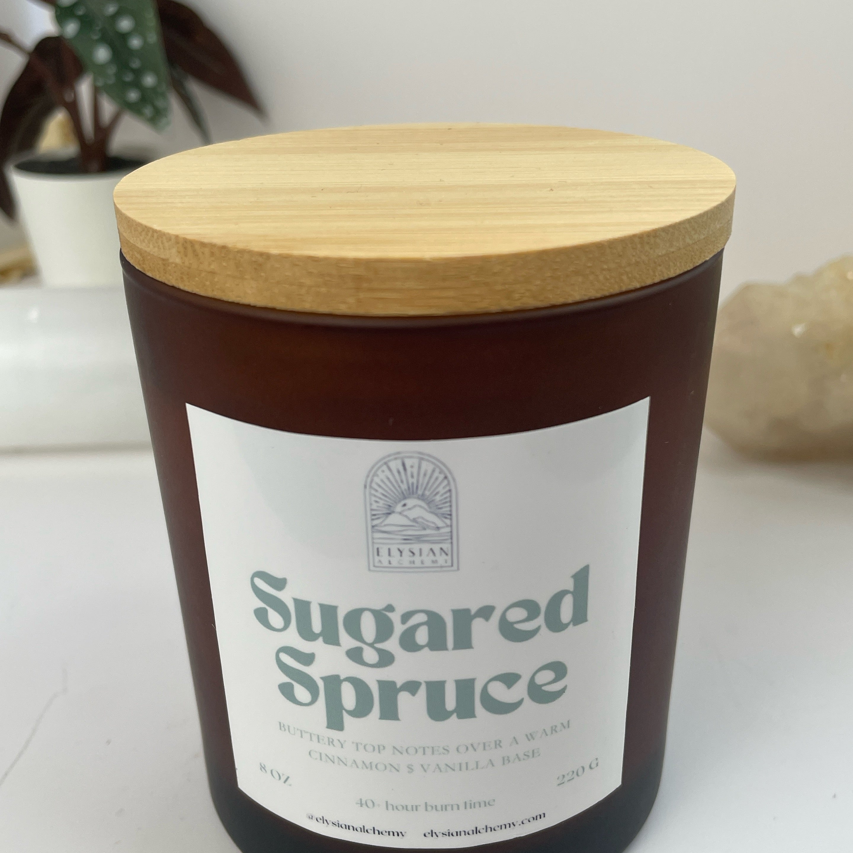 Sugared Spruce candle