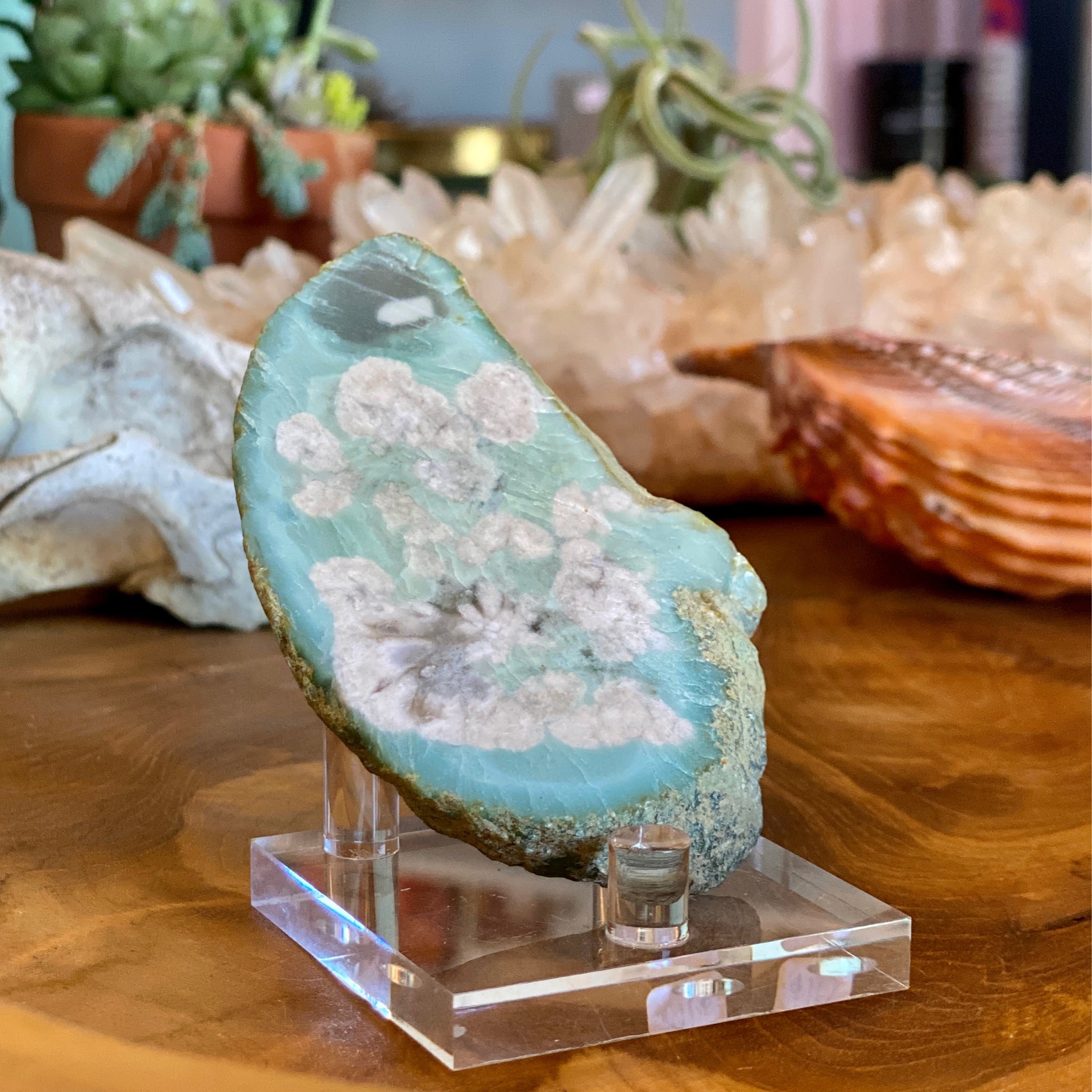 Flower Agate Slabs