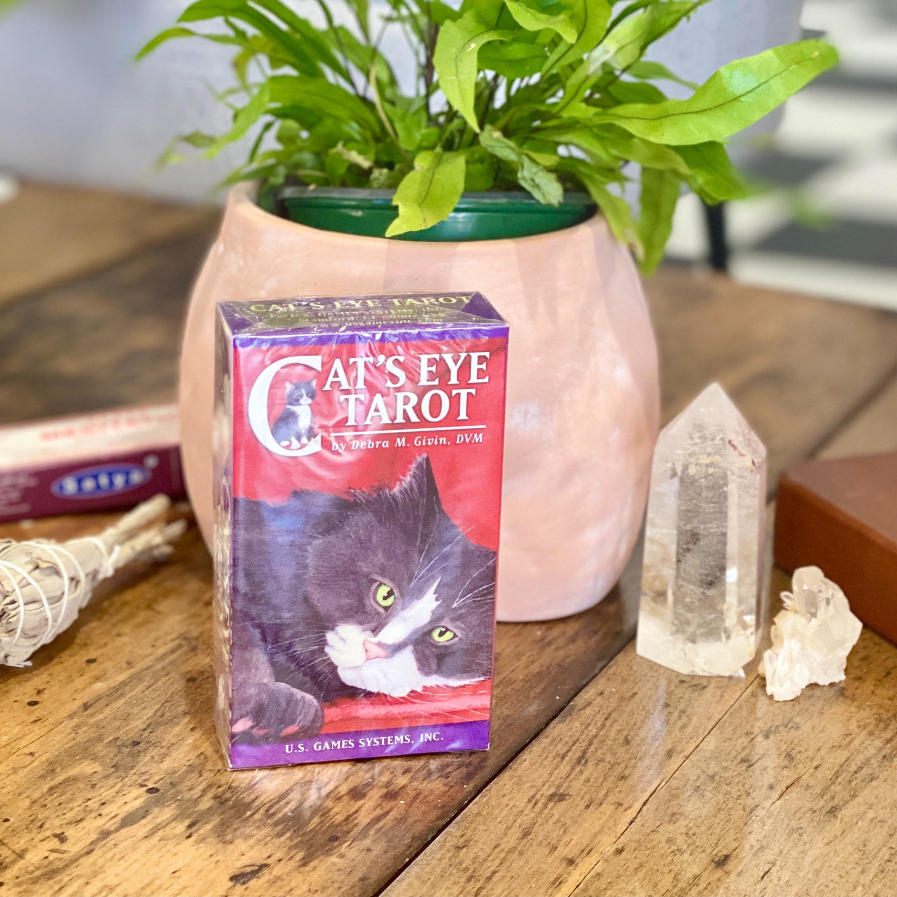 Cat’s Eye Tarot Deck