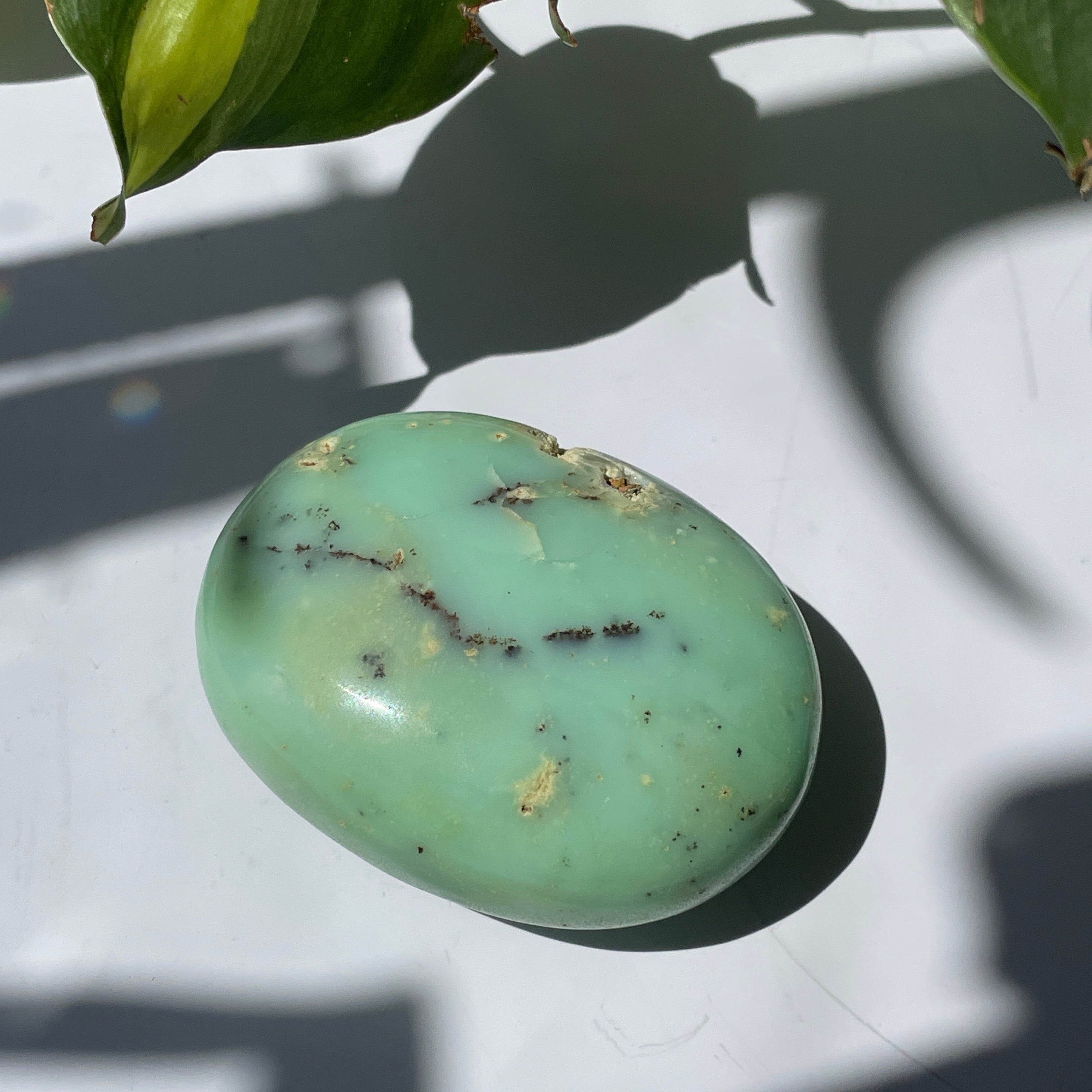 Chrysoprase Palm