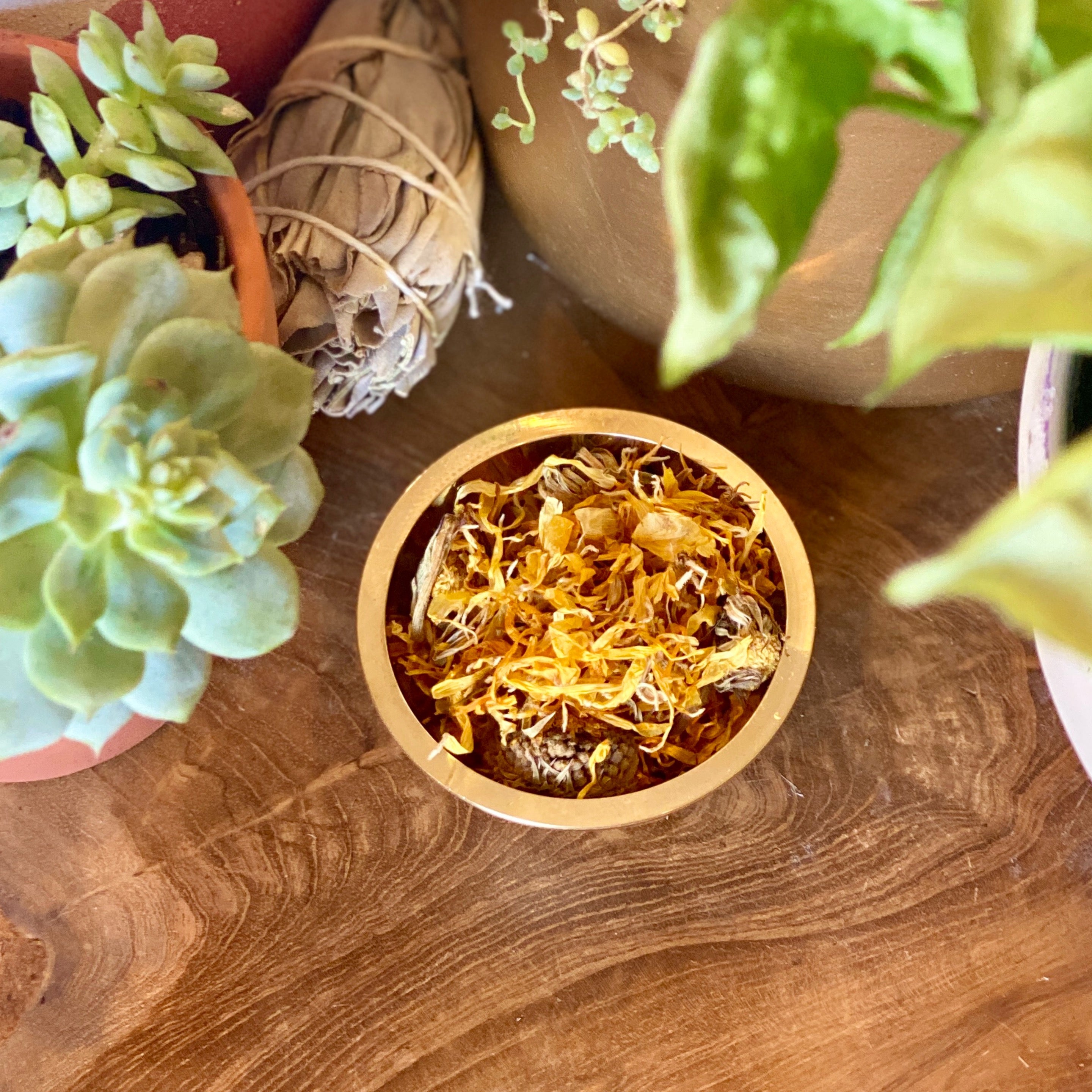Herb - Calendula Flower