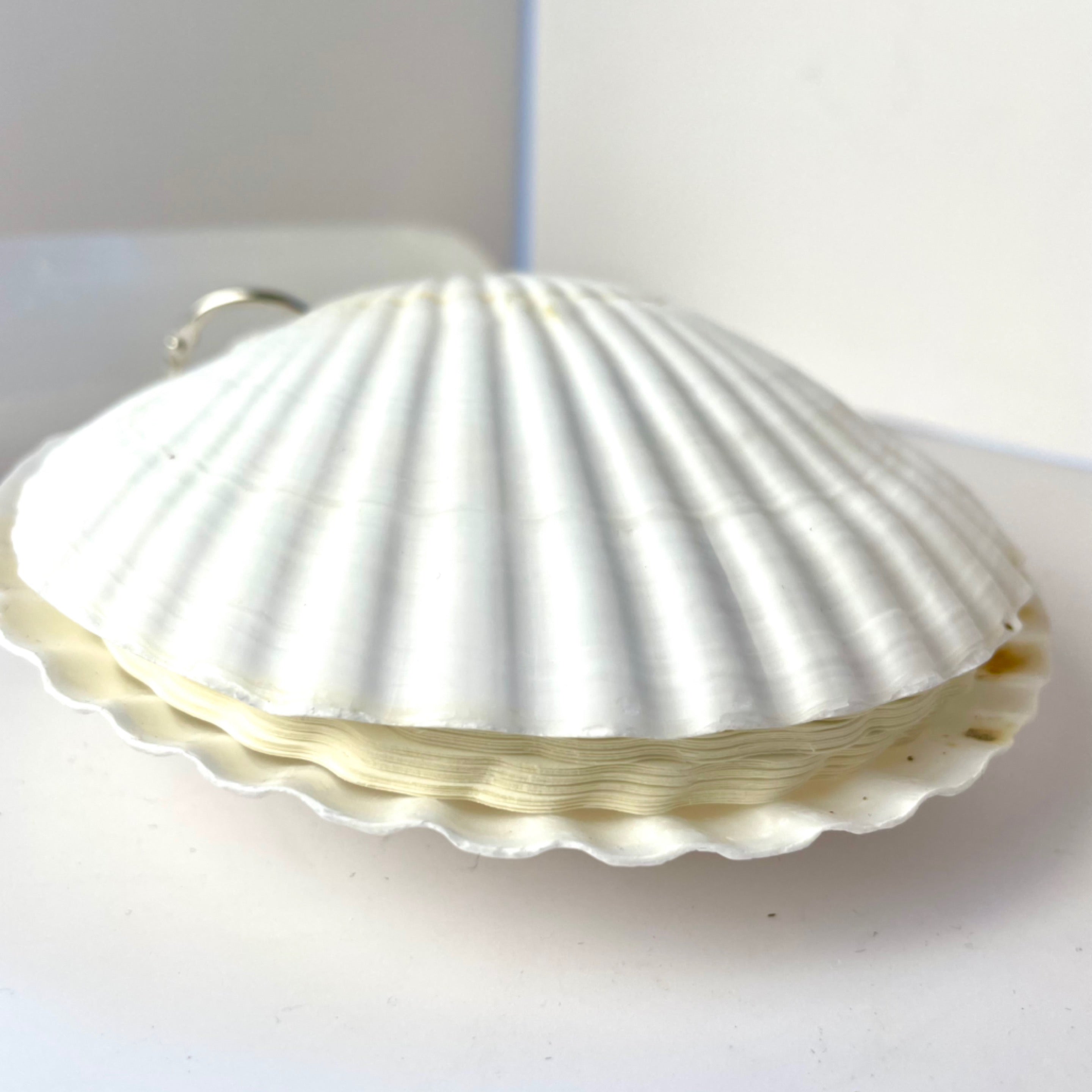 Shell Notebook