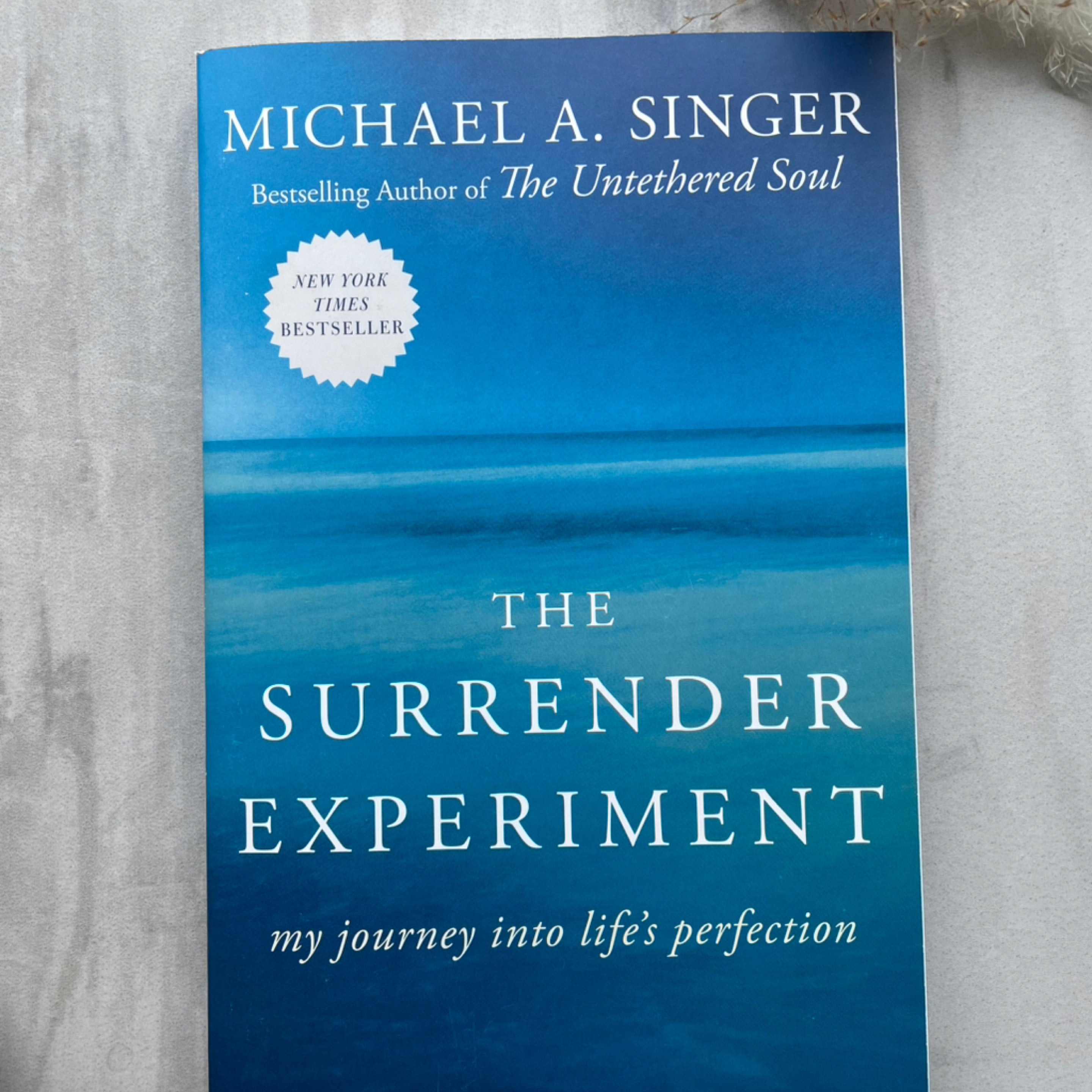 The Surrender Experiment
